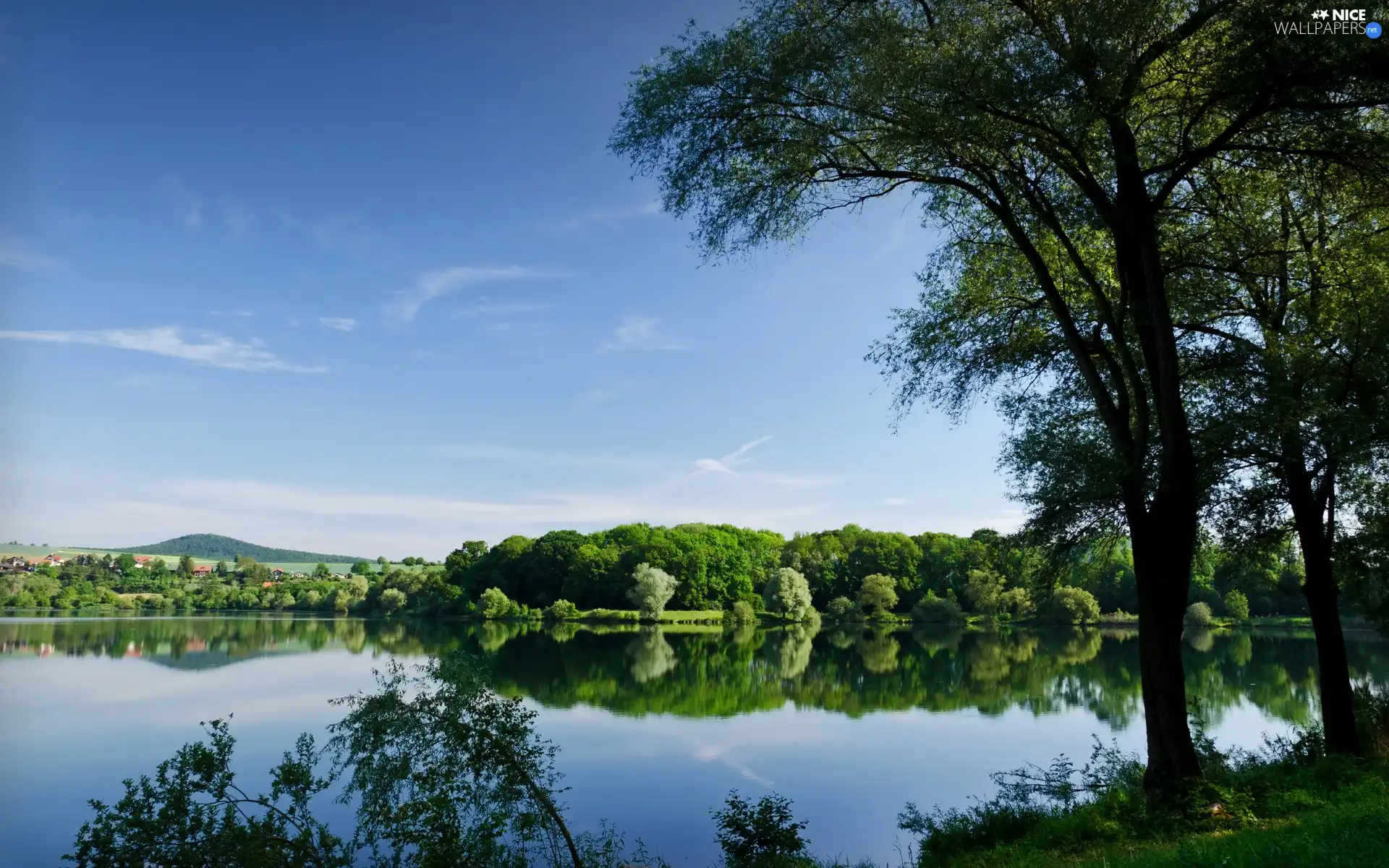 lake, trees, viewes, woods