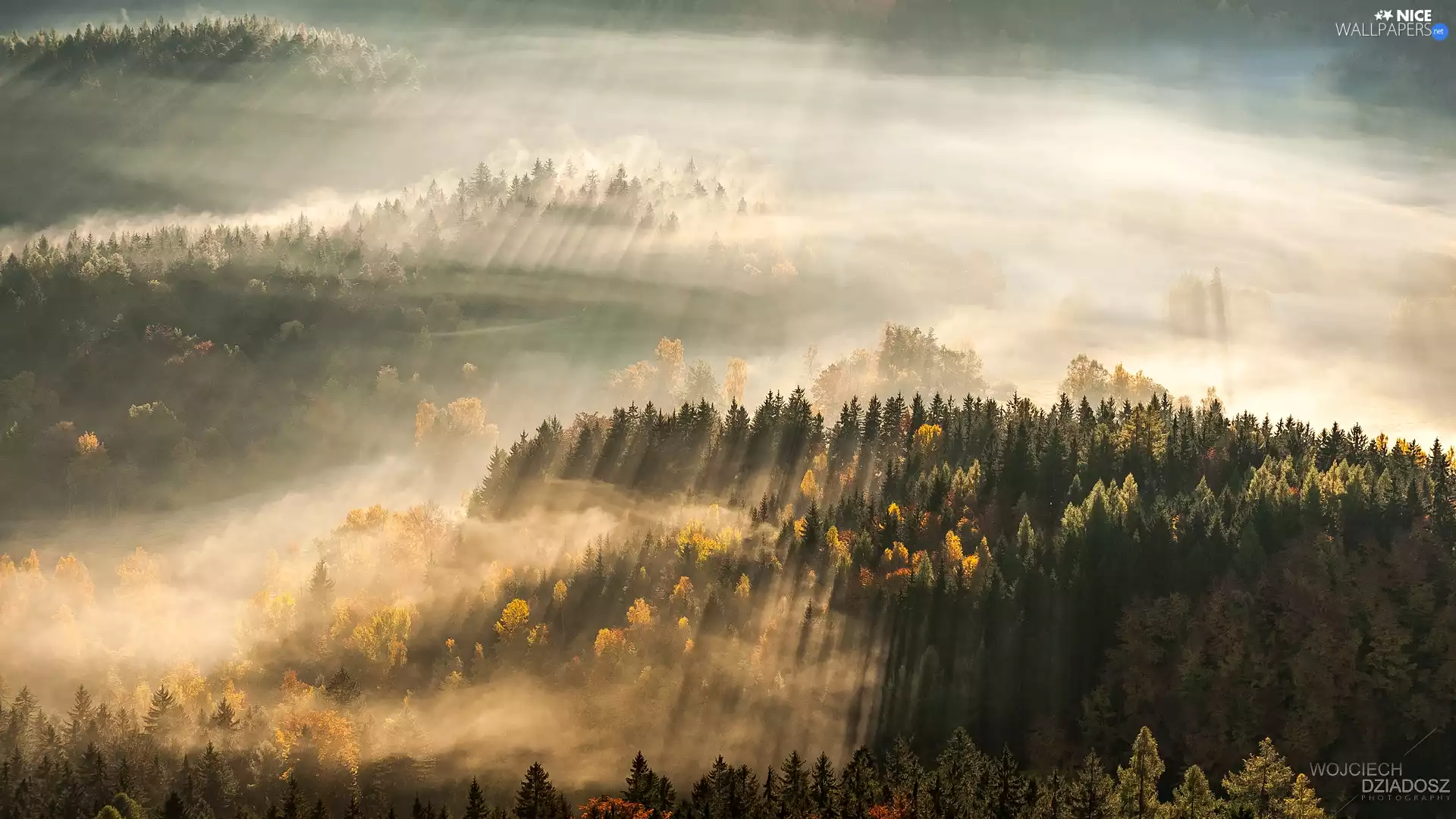 Sudetes, Poland, Rudawy Janowickie, light breaking through sky, viewes, Aerial View, woods, trees, Fog
