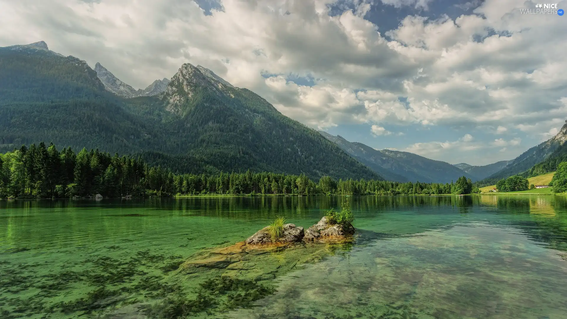 viewes, Lake Hintersee, Bavaria, trees, Alps Mountains, rocks, Germany