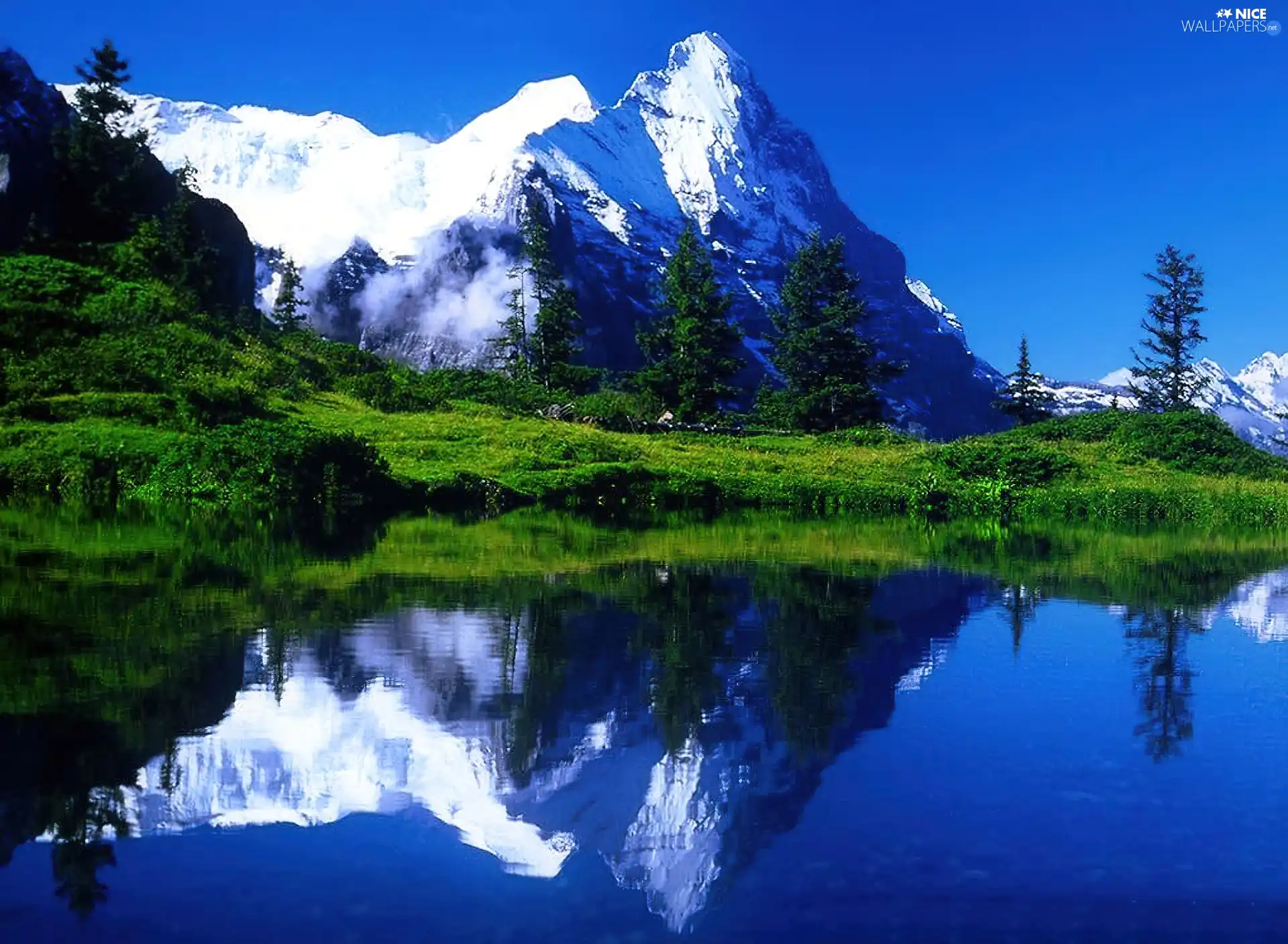 Mountains, trees, viewes, lake