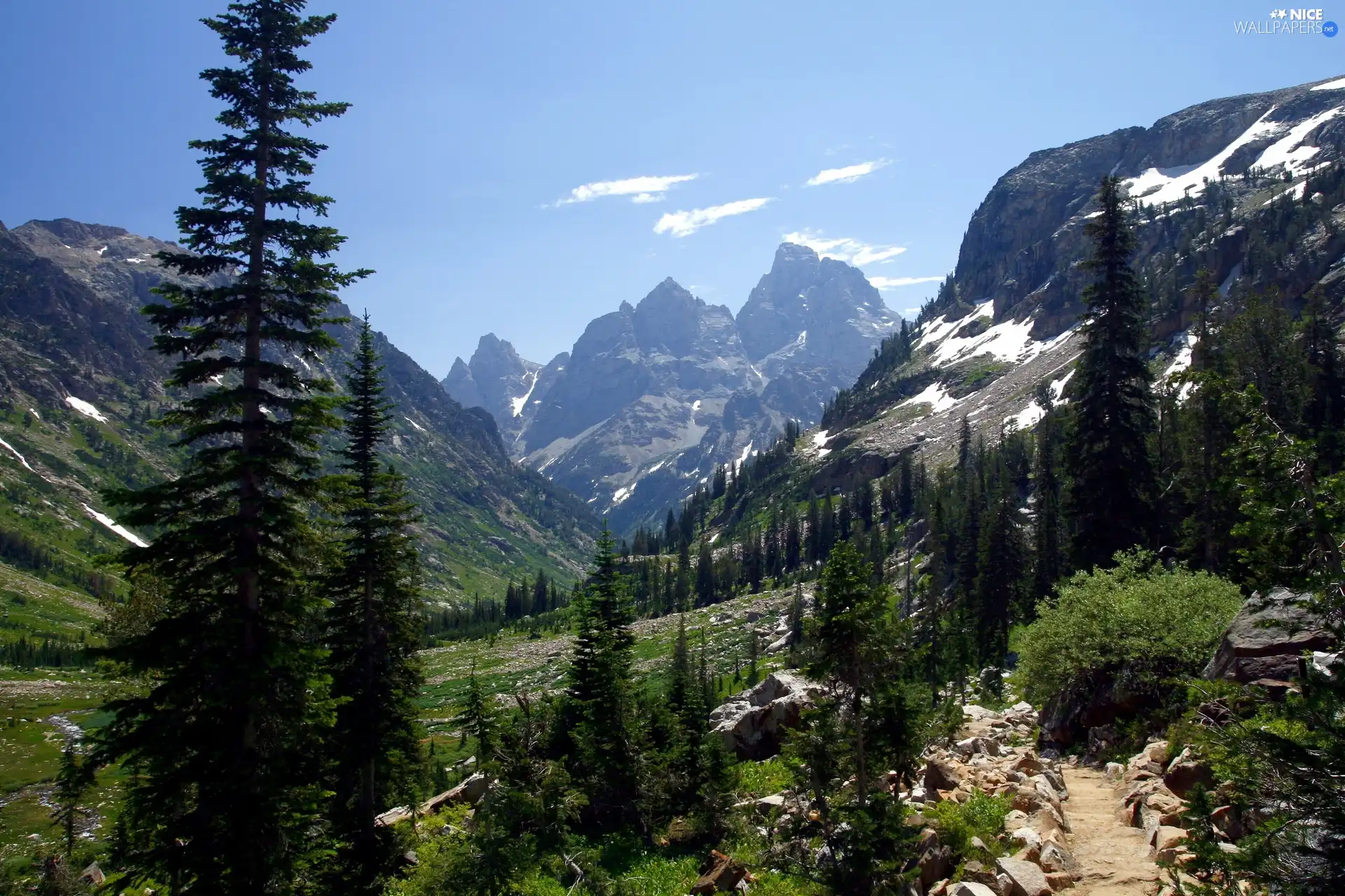 Mountains, trees, viewes, peaks