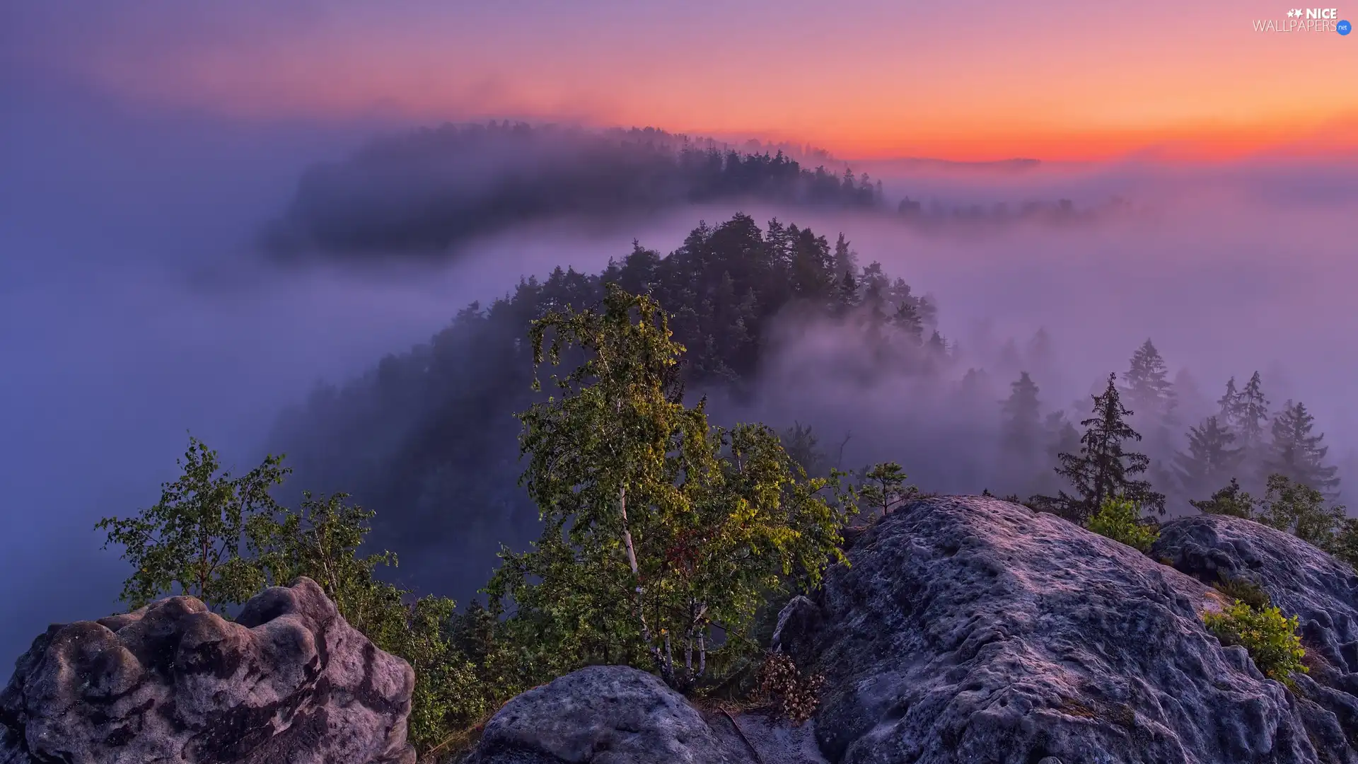 Sunrise, rocks, trees, viewes, Fog, Mountains