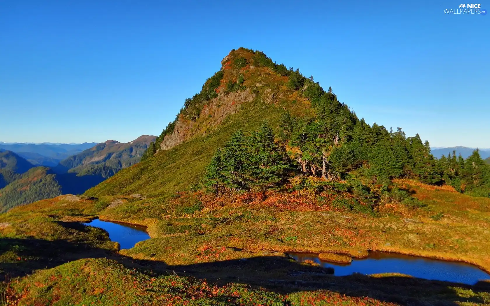 Mountains, trees, viewes, Valley