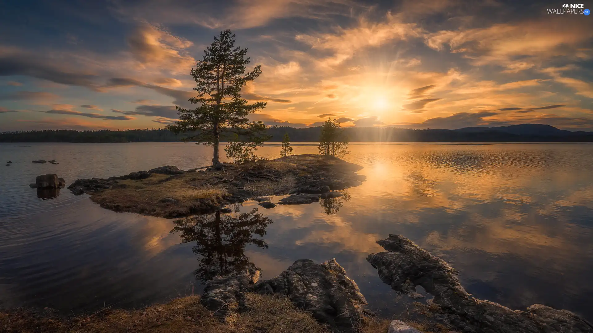 lake, Ringerike Municipality, trees, Sunrise, Norway, Islet, viewes
