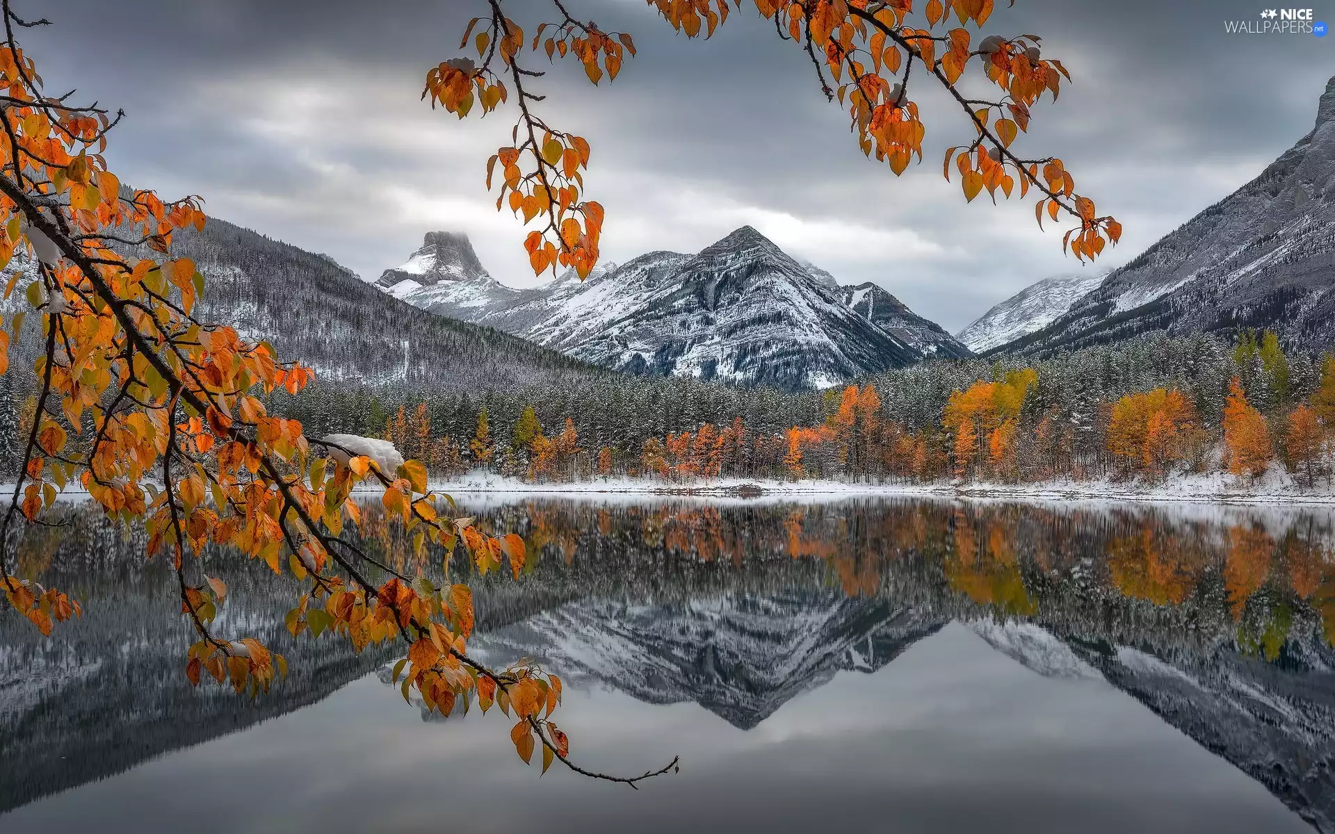 viewes, lake, Alberta, trees, rocky mountains, Banff National Park, Canada