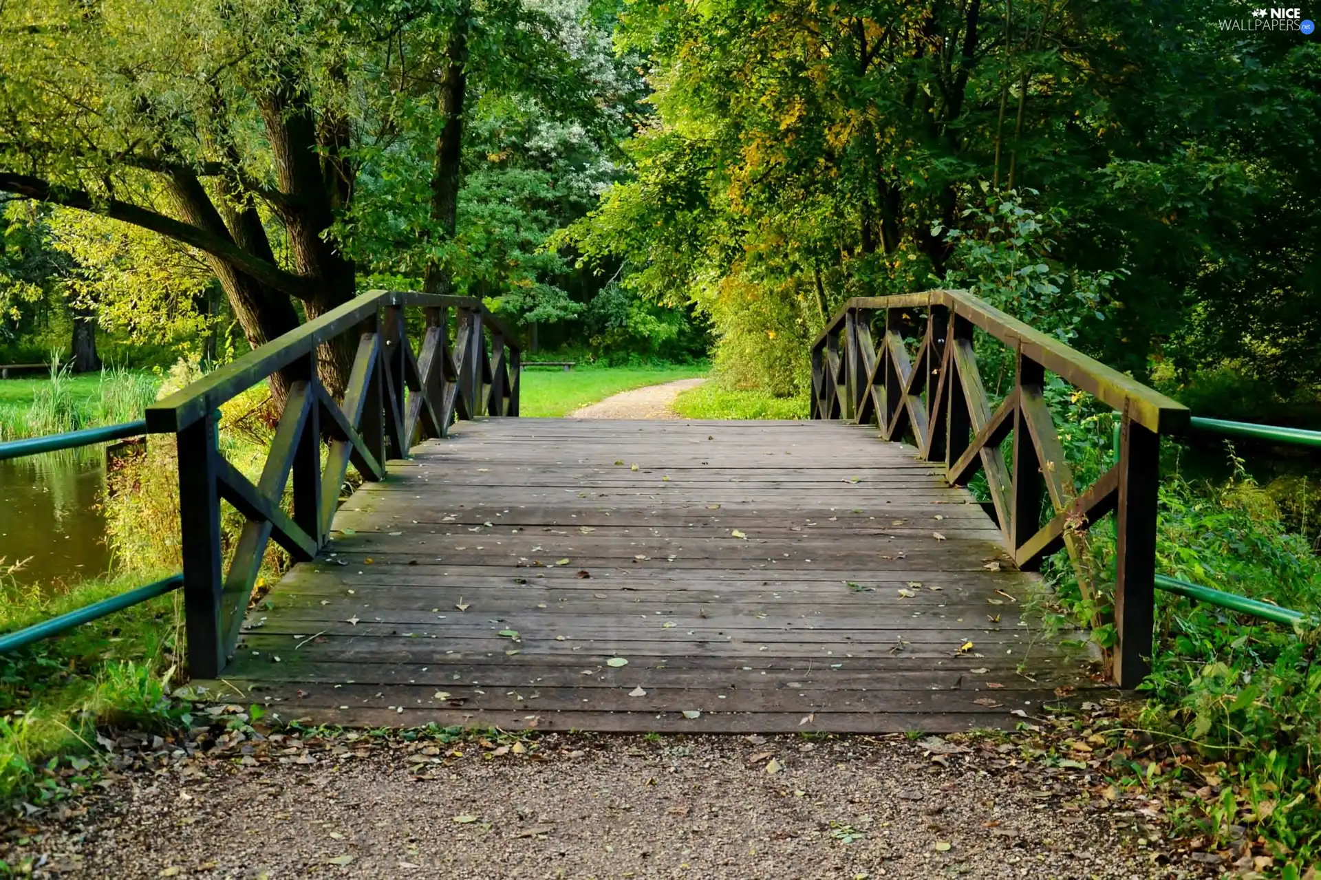 Park, trees, viewes, bridge