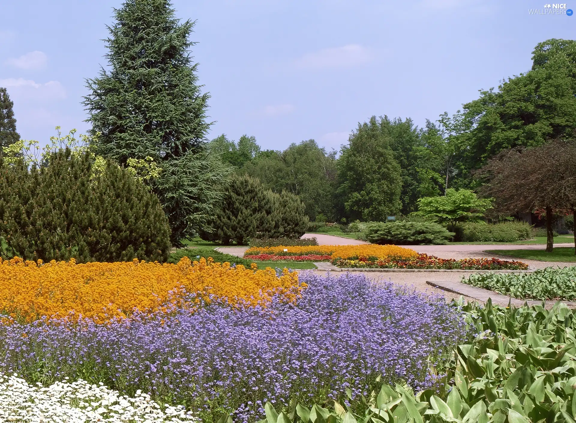 Park, trees, viewes, Flowers