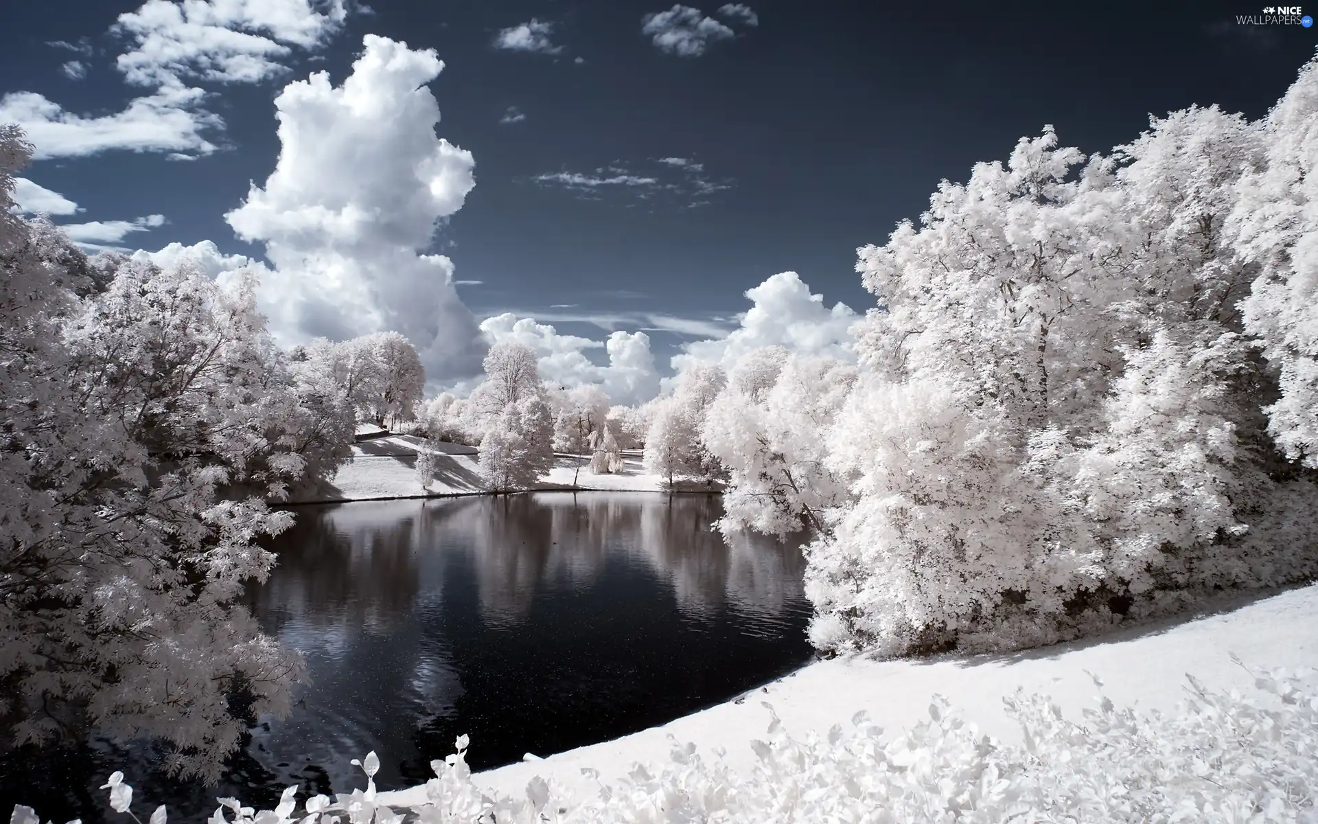 viewes, Snowy, Park, clouds, Pond - car, trees