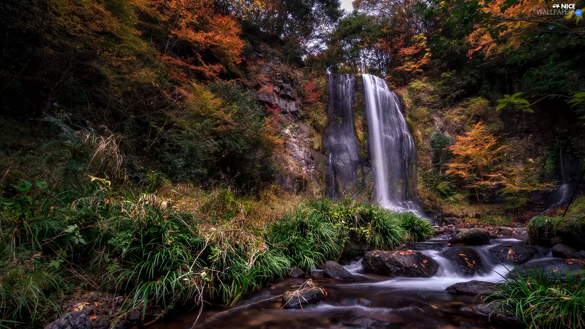 viewes, mossy, Stones, River, forest, waterfall, rocks, autumn, Plants, trees