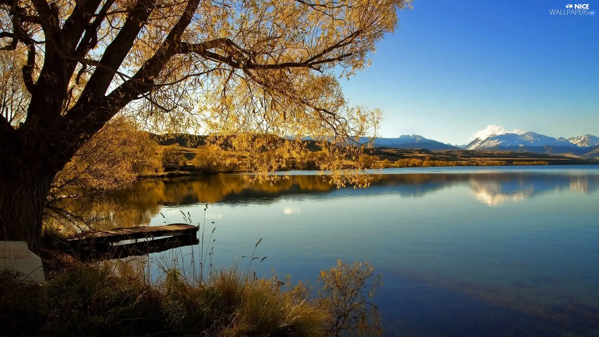 viewes, Platform, Mountains, trees, River