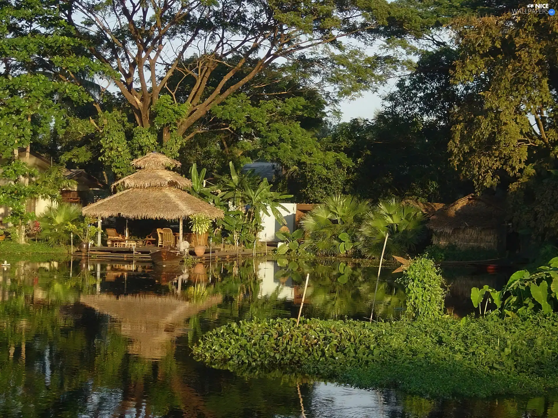 viewes, green, Pond - car, trees, arbour