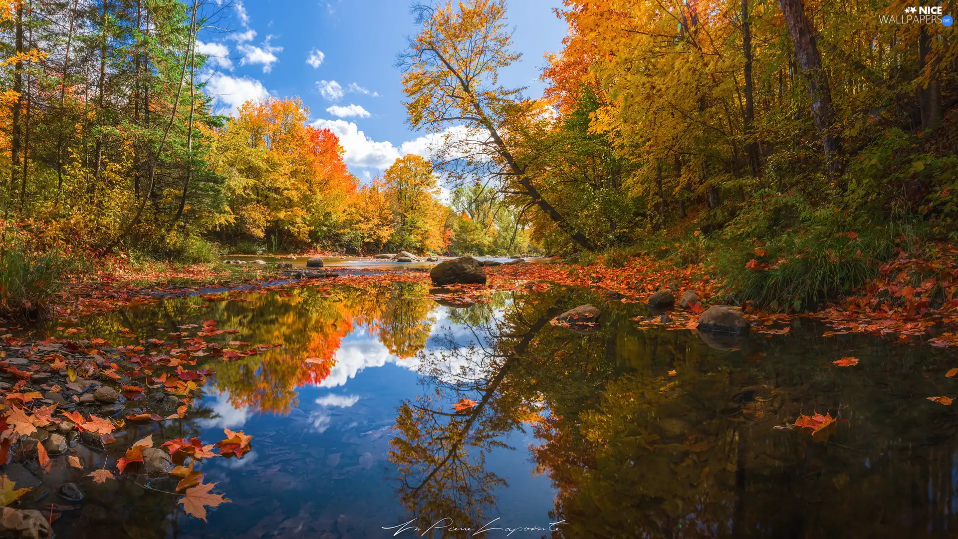 autumn, trees, pool, viewes, forest, River, reflection