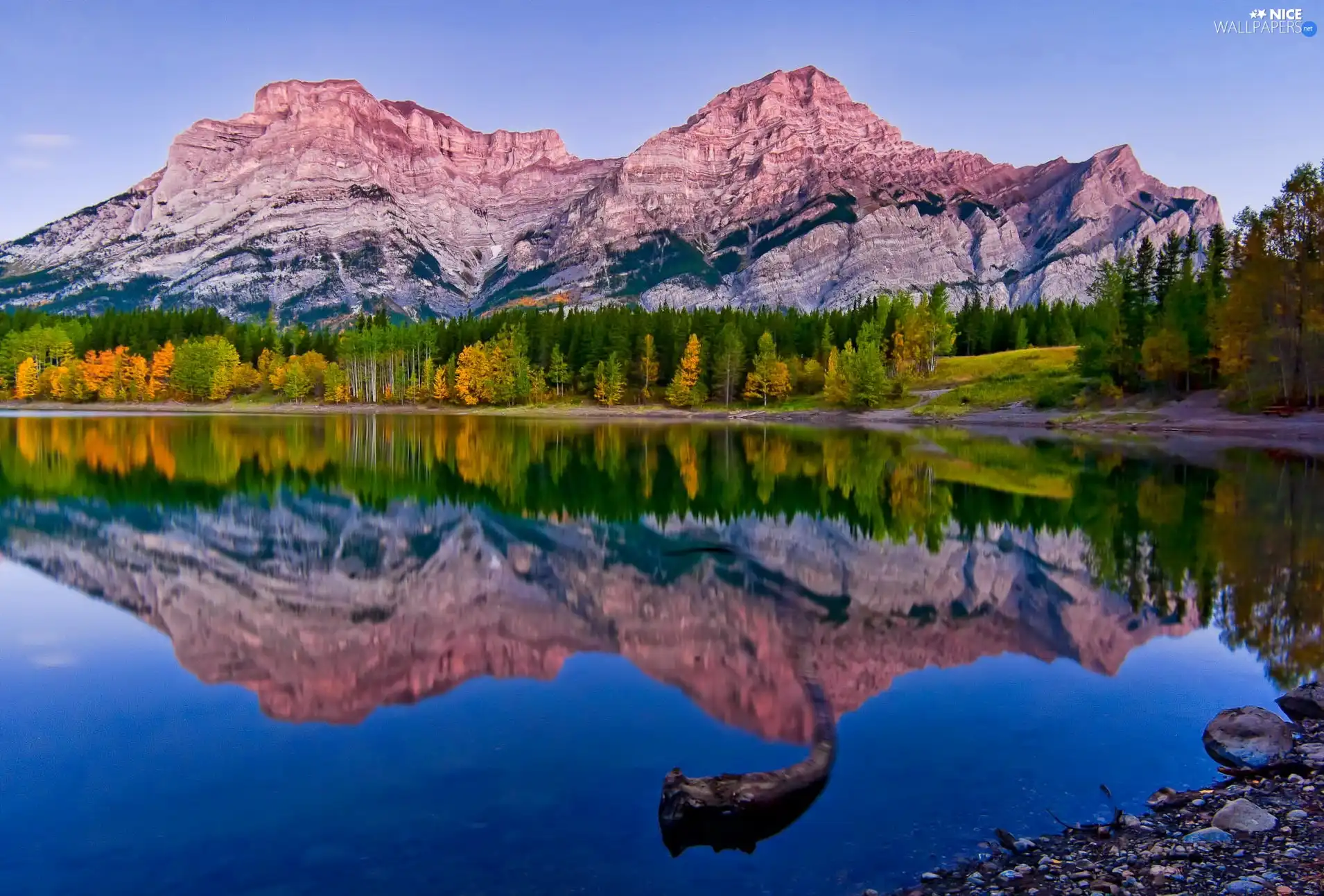 viewes, reflection, rocks, trees, lake