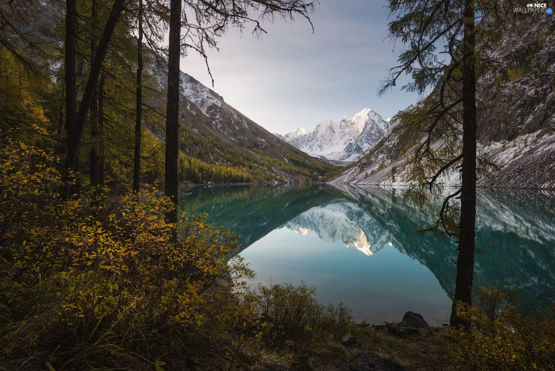 viewes, Altai Mountains, Altai Republic, trees, Szawlinskie Lake, reflection, Russia