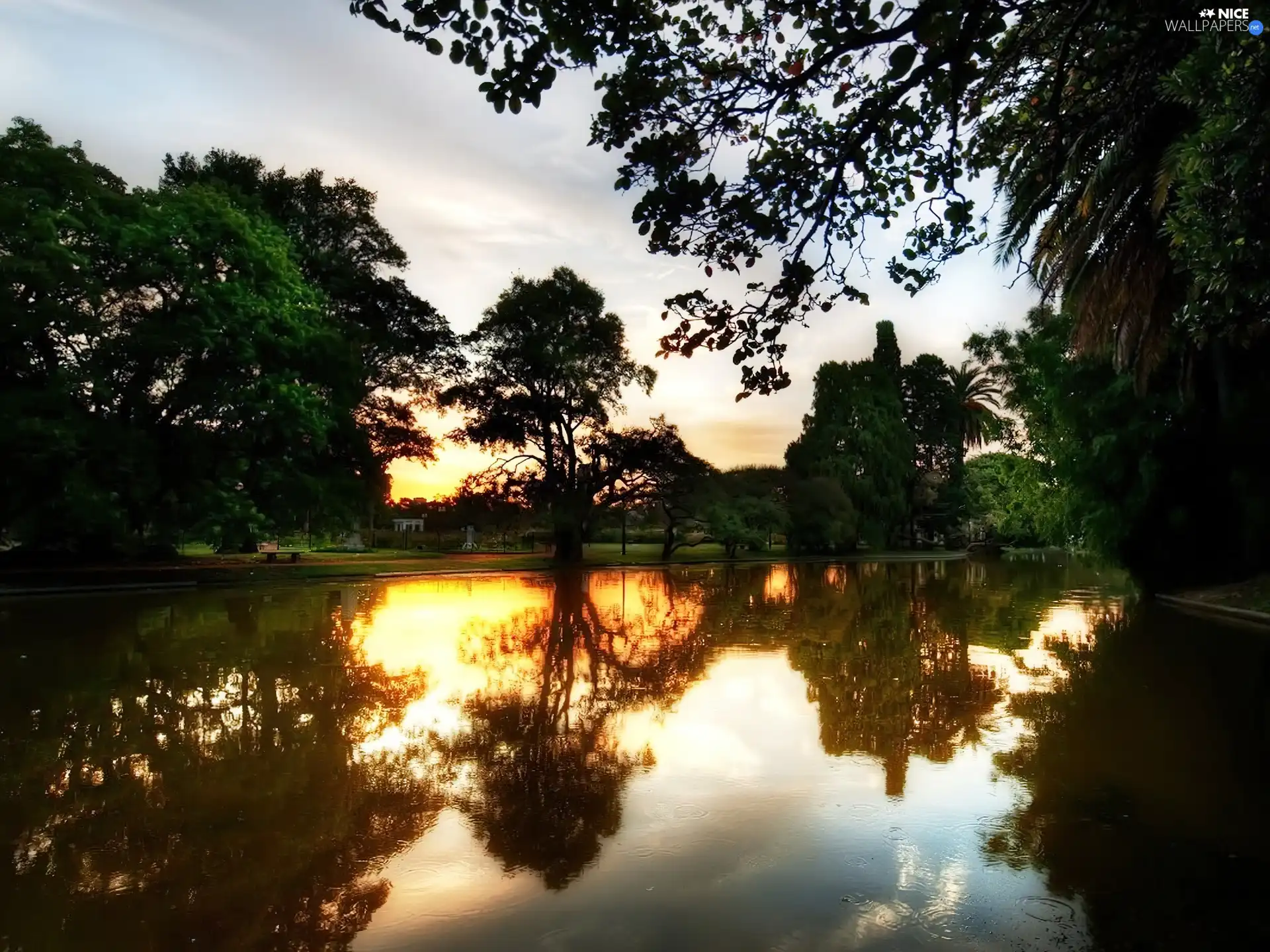 River, west, viewes, reflection, trees, sun