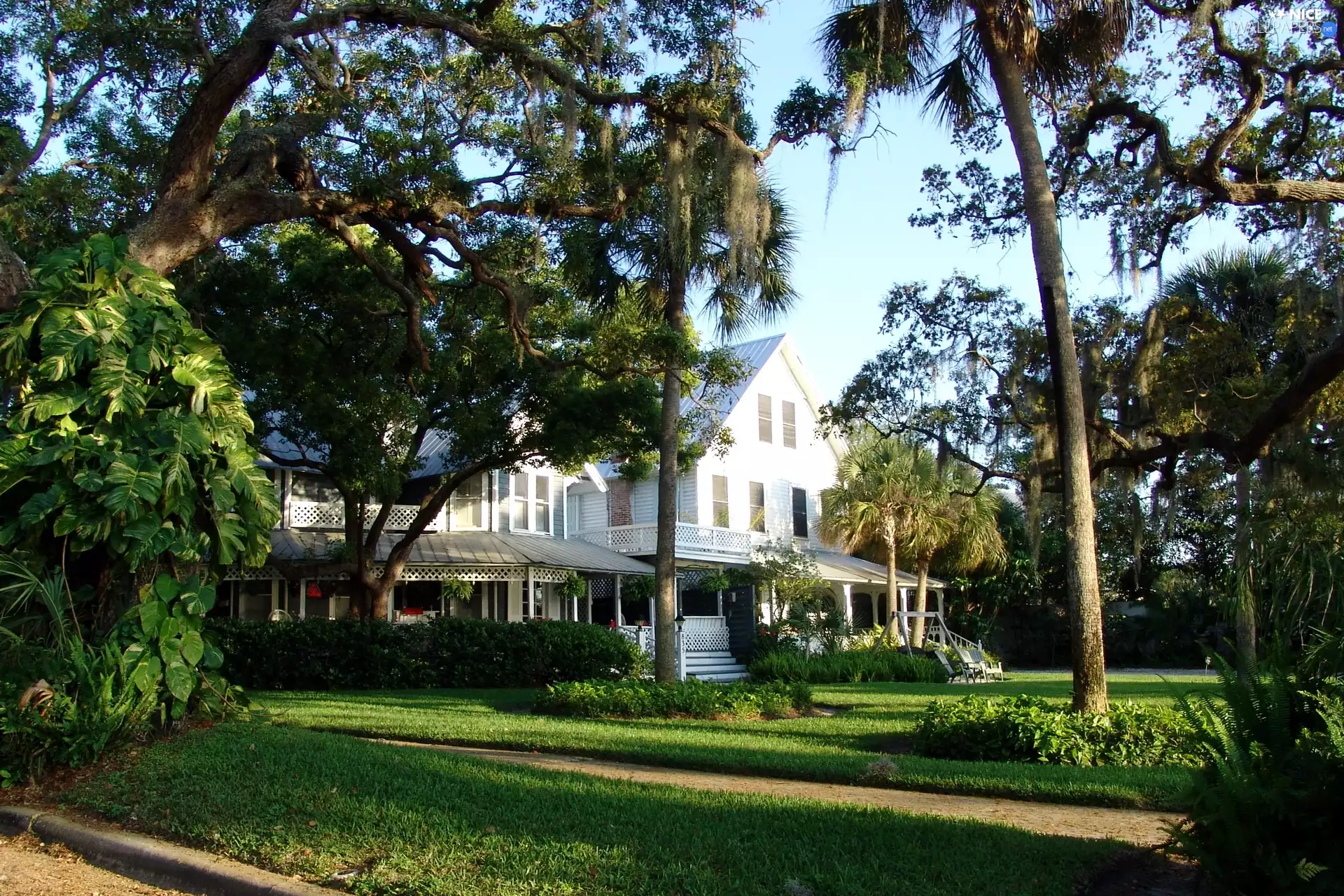 trees, viewes, residence, Lawn, house