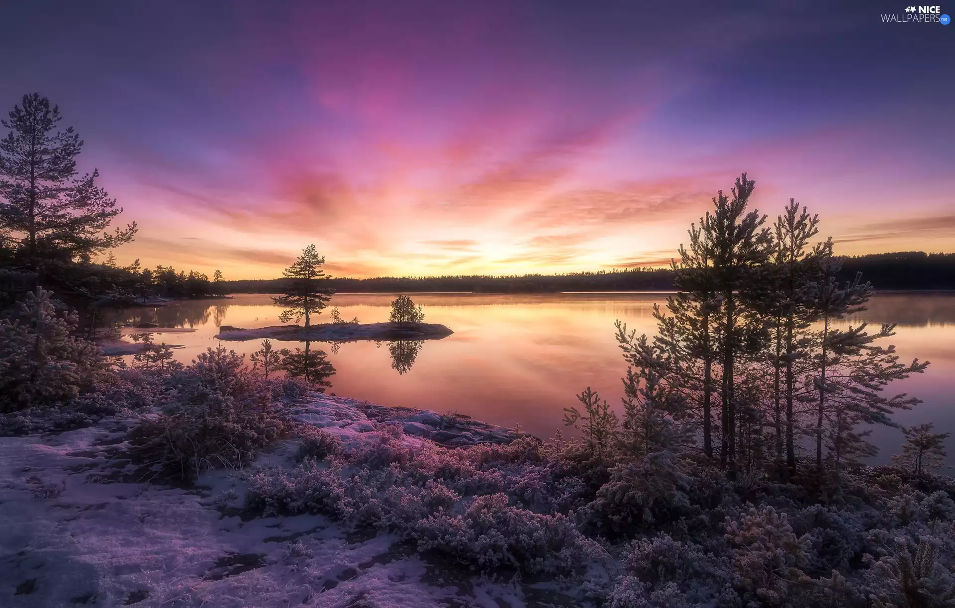 Great Sunsets, Ringerike, trees, winter, Norway, lake, viewes