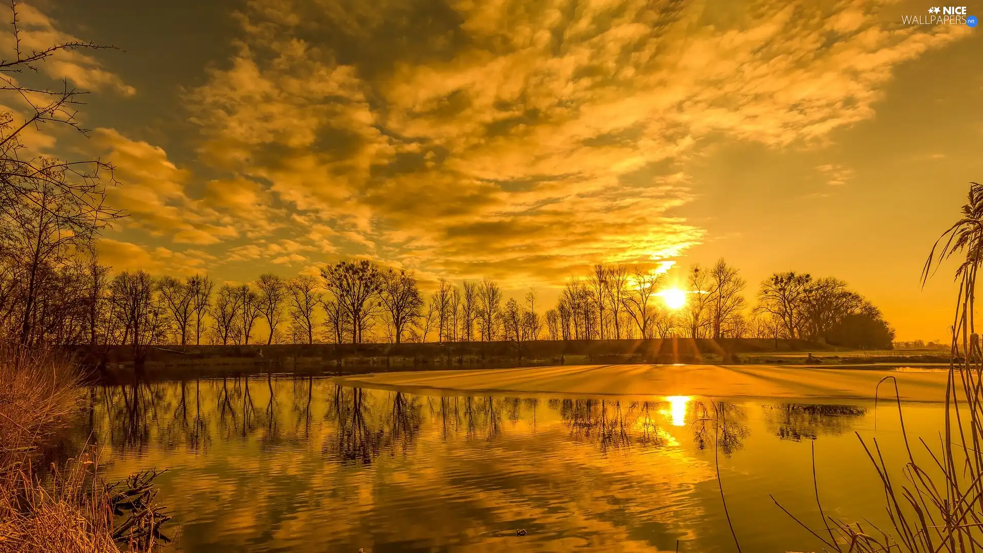viewes, rays of the Sun, reflection, trees, winter, River, Sunrise
