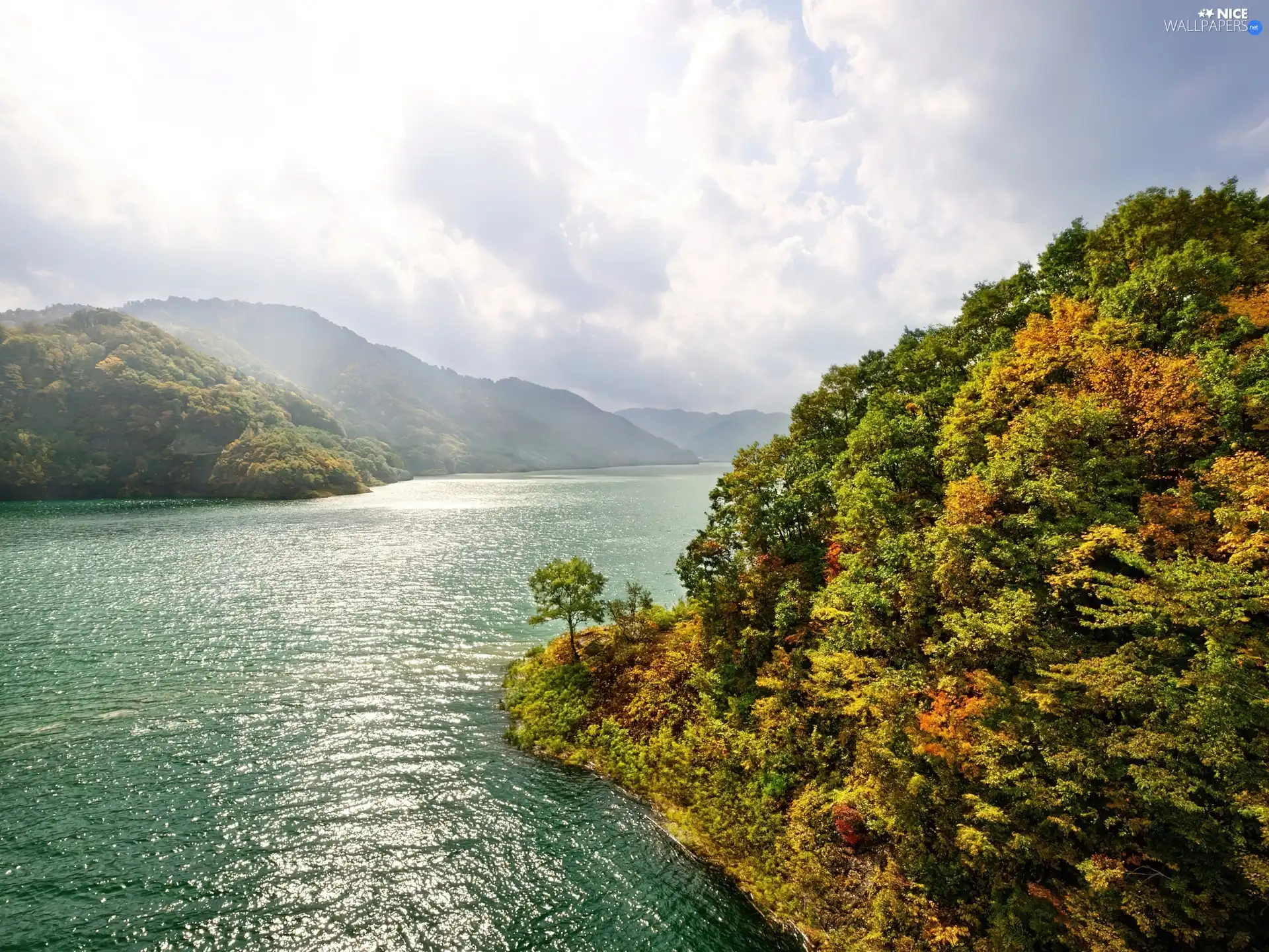 River, trees, viewes, Autumn