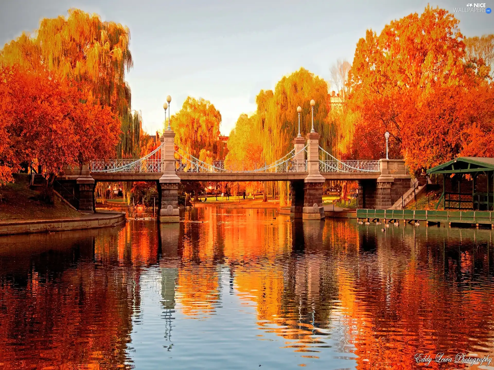 River, trees, viewes, bridge