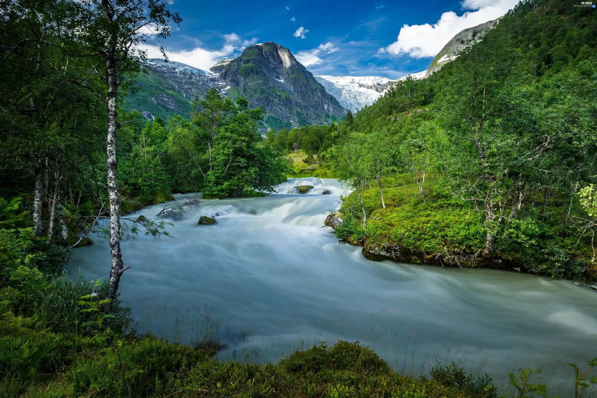 River, trees, viewes, Mountains