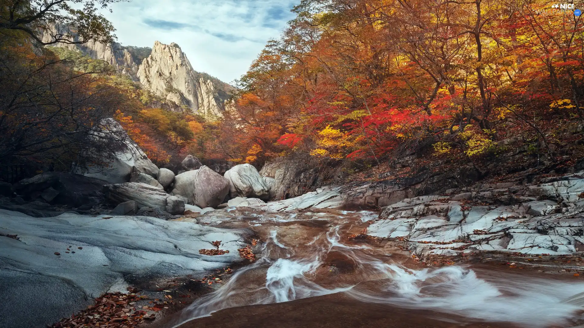 Mountains, autumn, trees, viewes, rocks, River