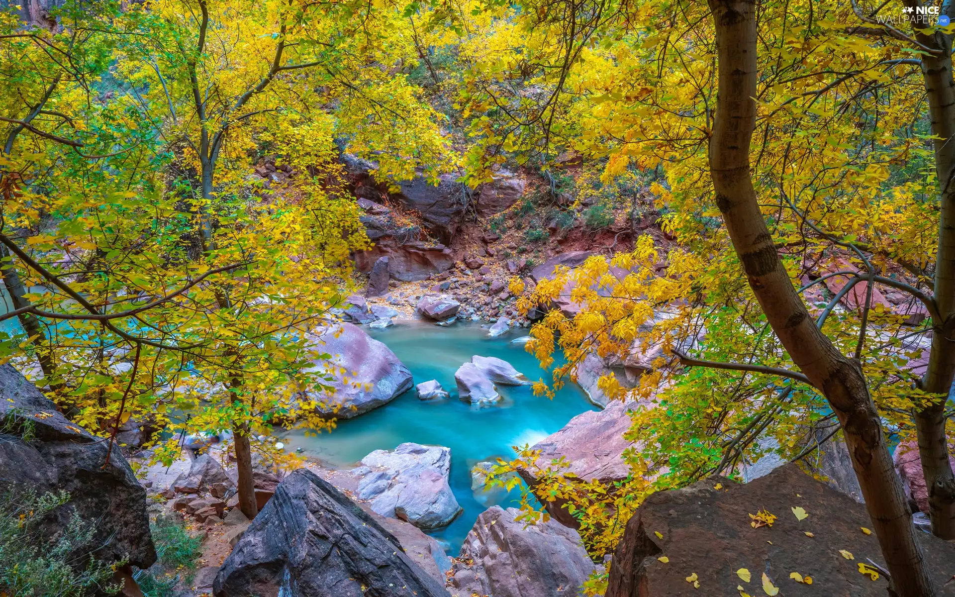 rocks, autumn, trees, viewes, Stones, River