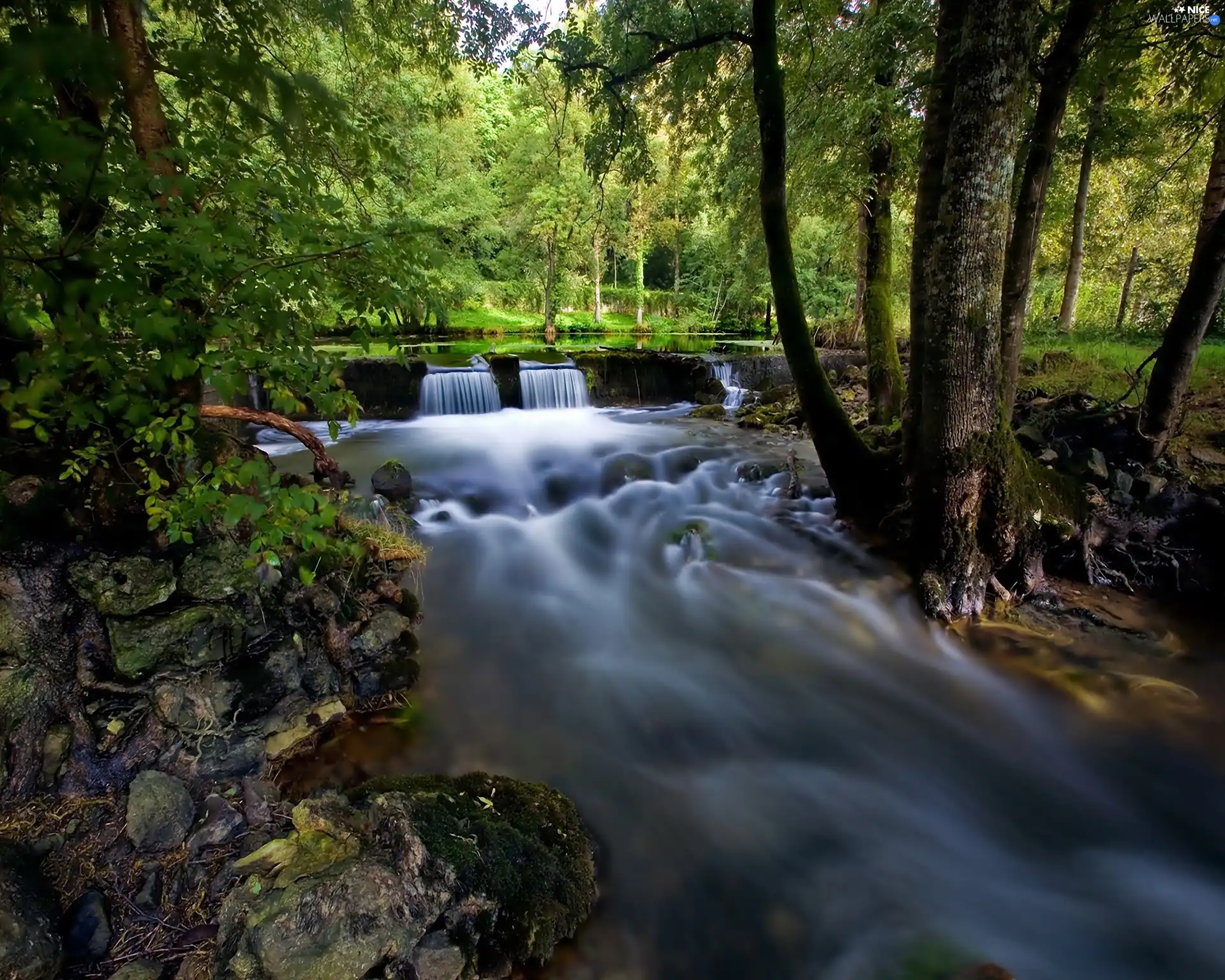 River, trees, viewes, Stones