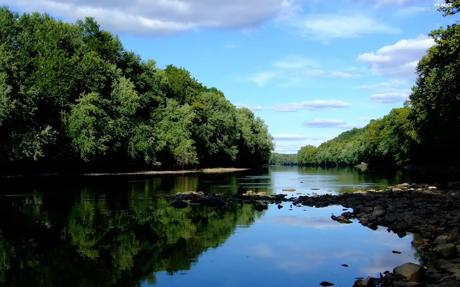 River, trees, viewes, Stones