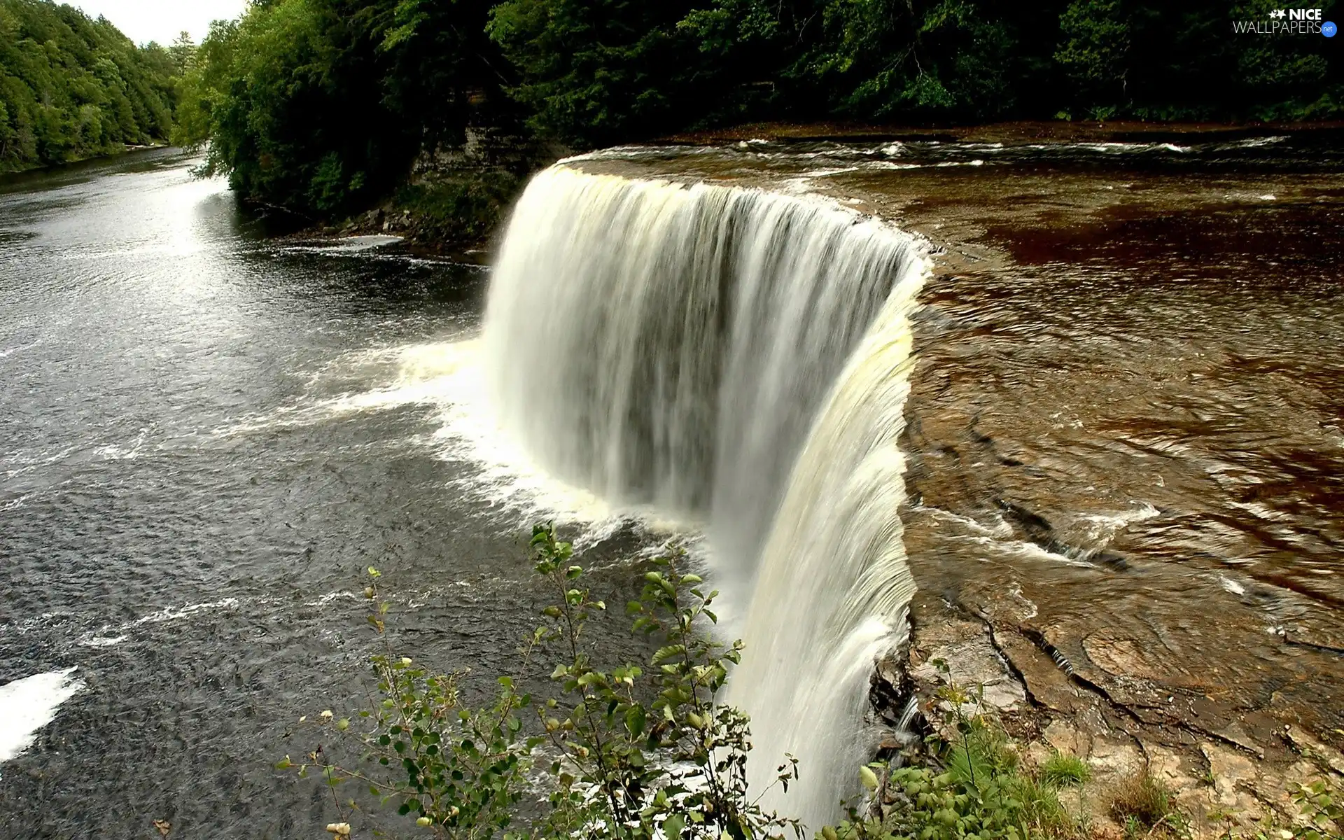 River, trees, viewes, waterfall