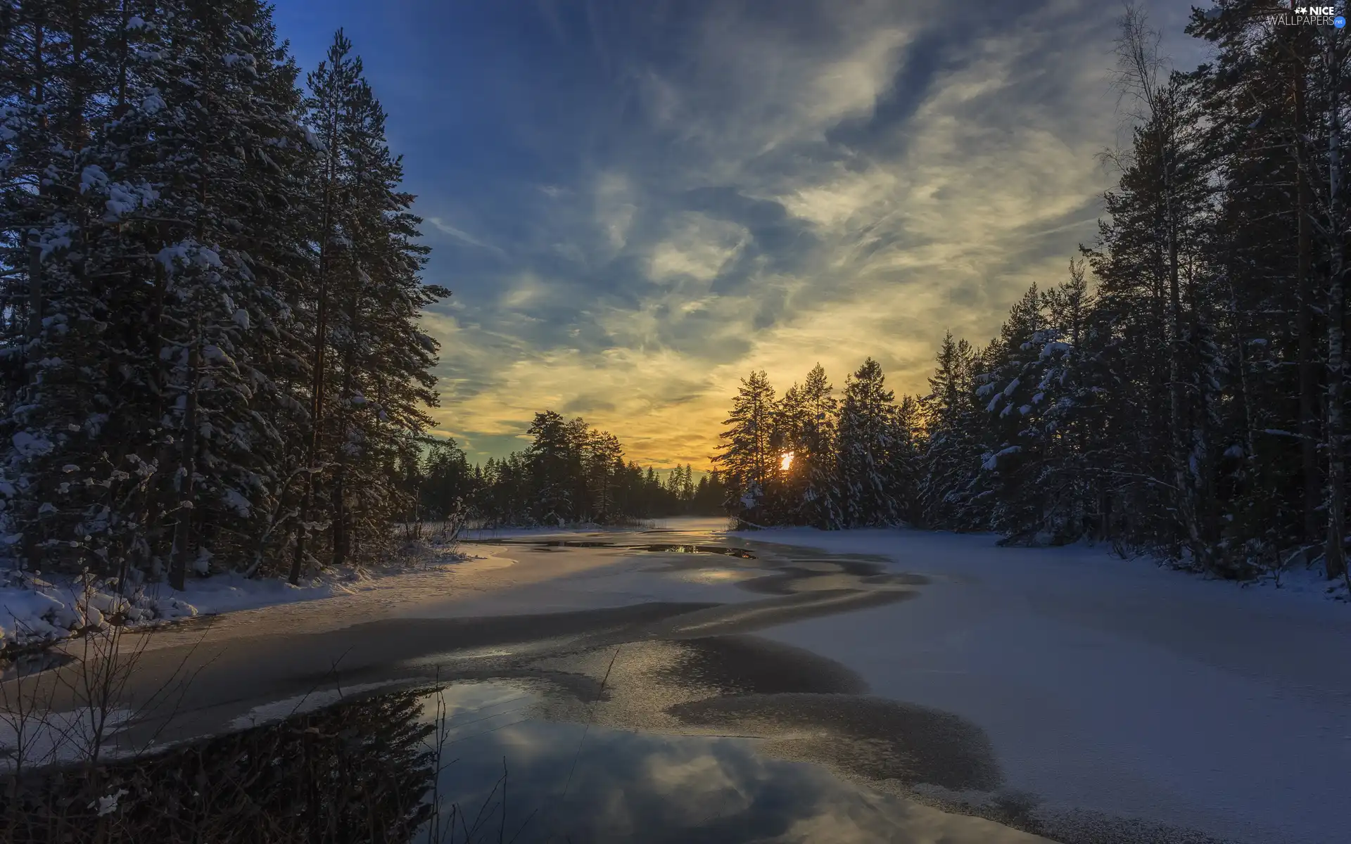 forest, winter, viewes, River, trees, Sunrise