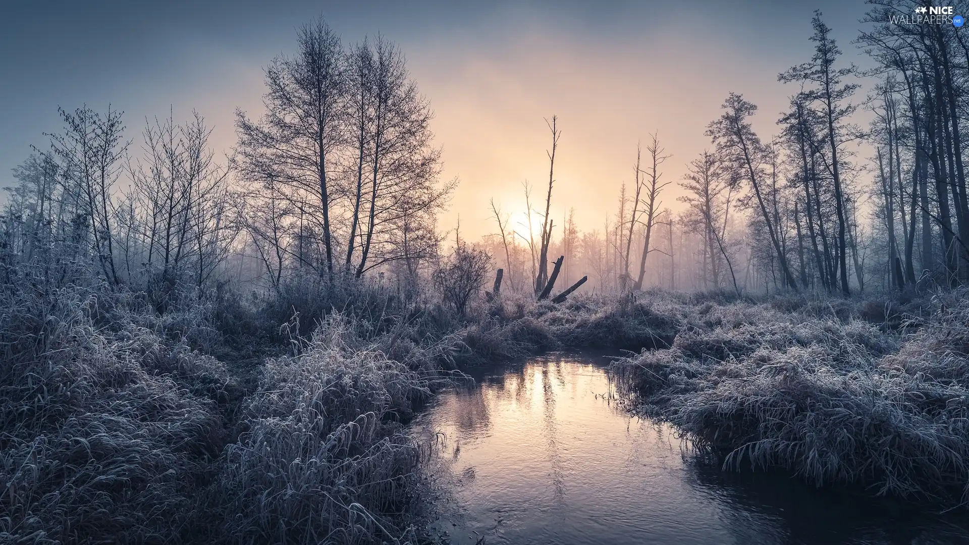 winter, Sunrise, trees, viewes, frosty, River