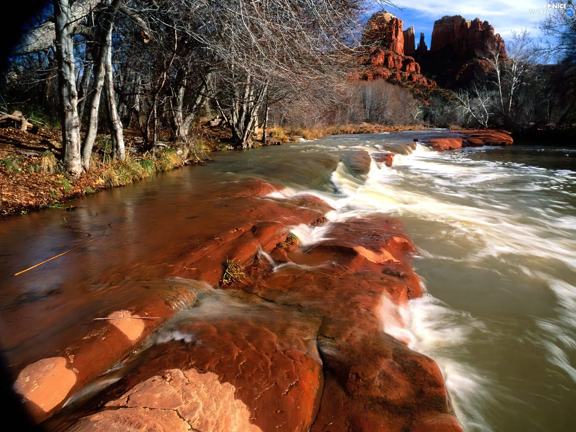 rocks, trees, viewes, water