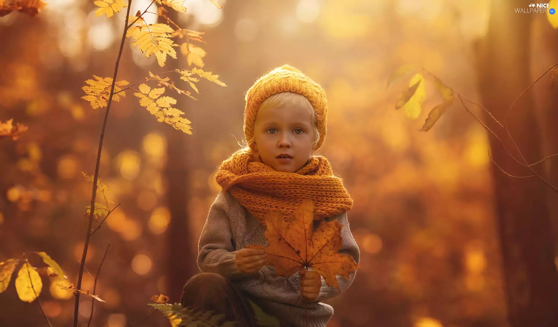Leaf, trees, Scarf, viewes, autumn, boy, Hat
