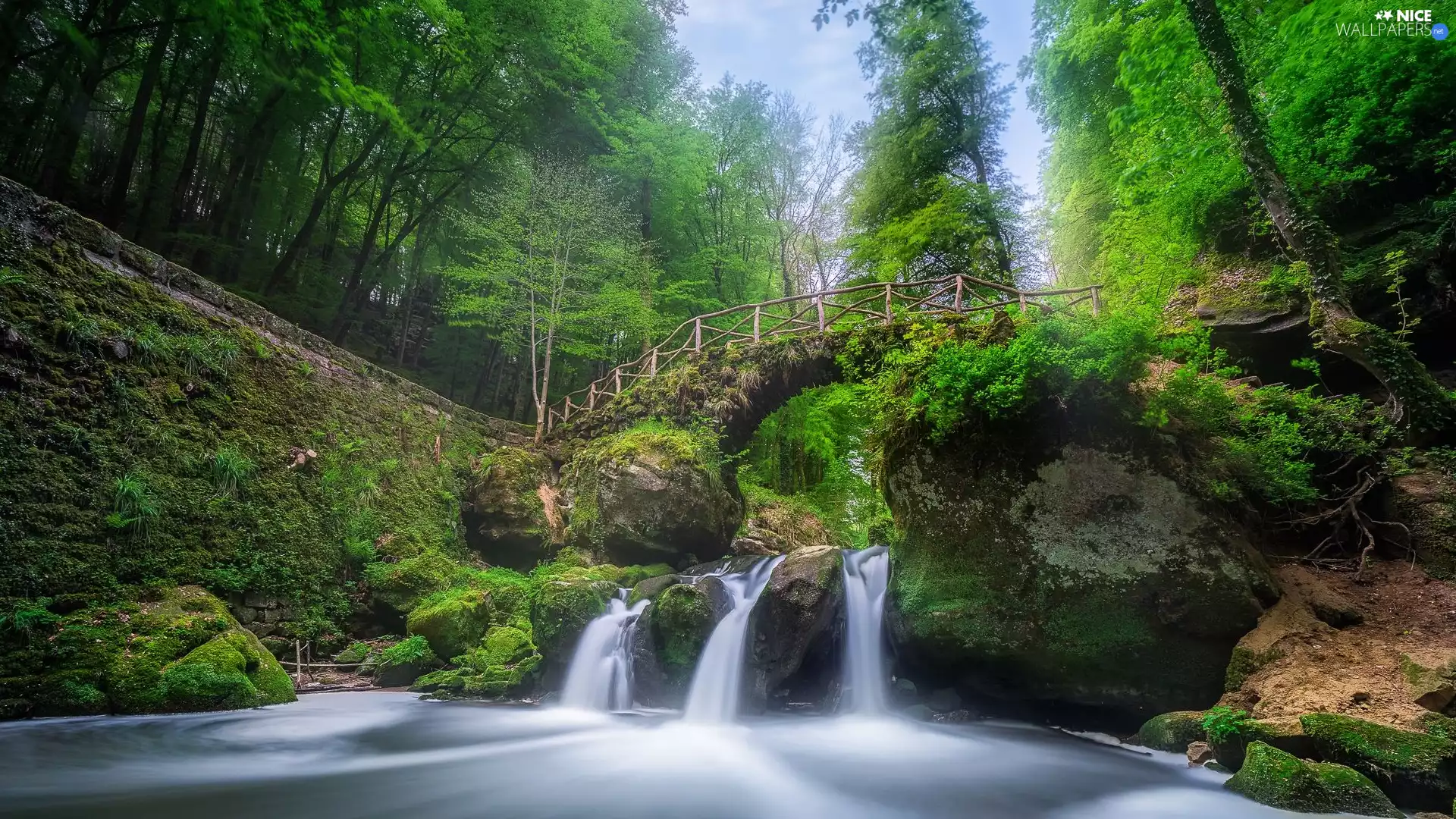bridges, Black Ernz River, VEGETATION, forest, viewes, Schiessentümpel Waterfall, Luxembourg, trees