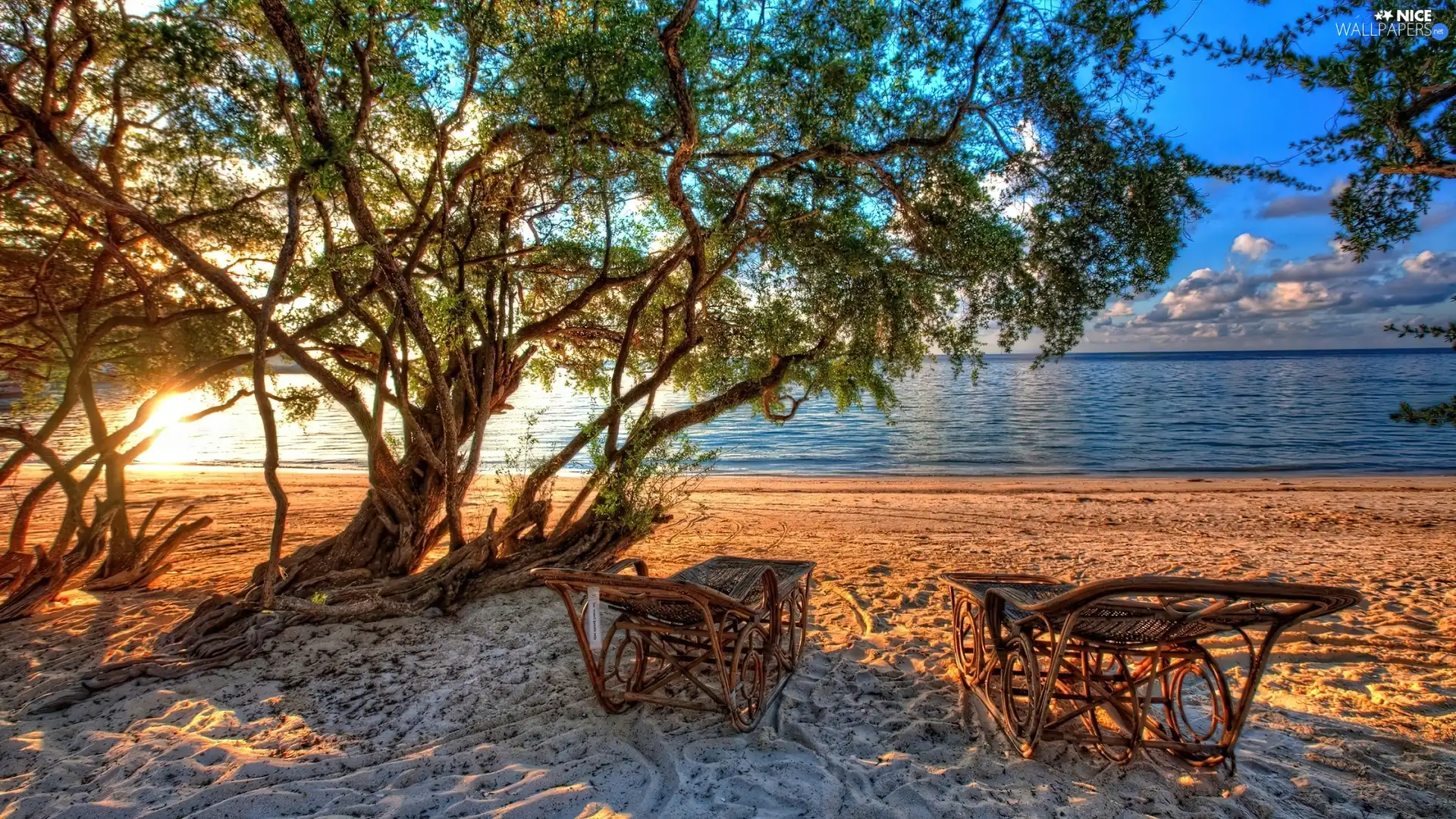 sea, trees, viewes, Beaches