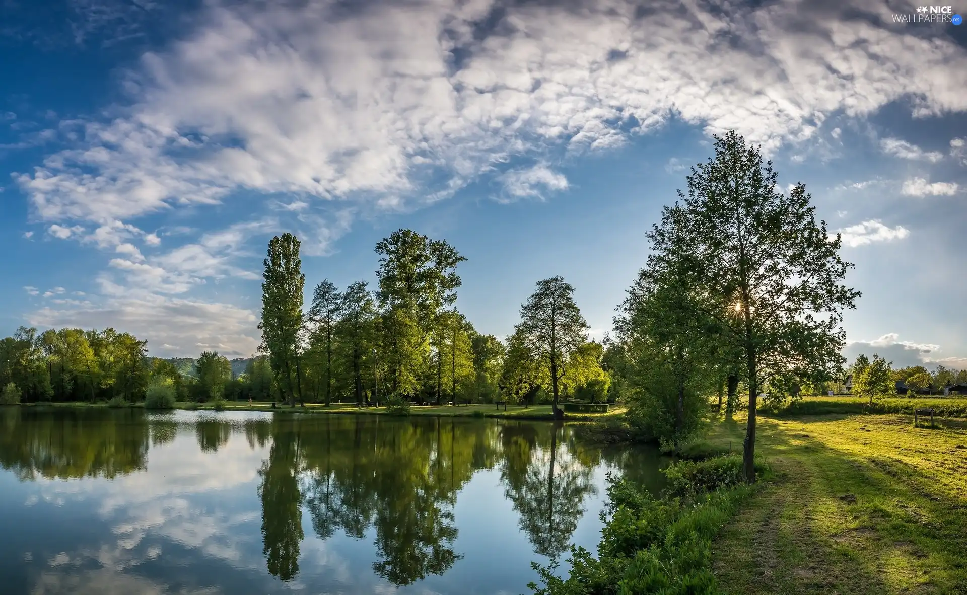 viewes, Sky, lake, trees, summer