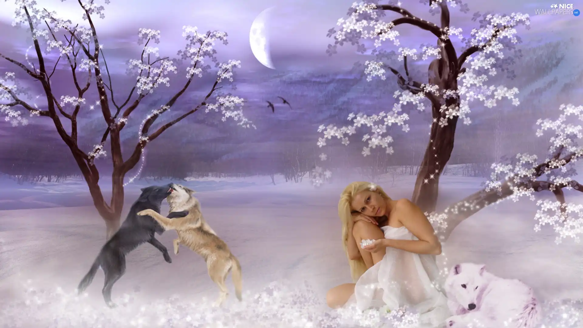 viewes, snow, wolves, trees, girl