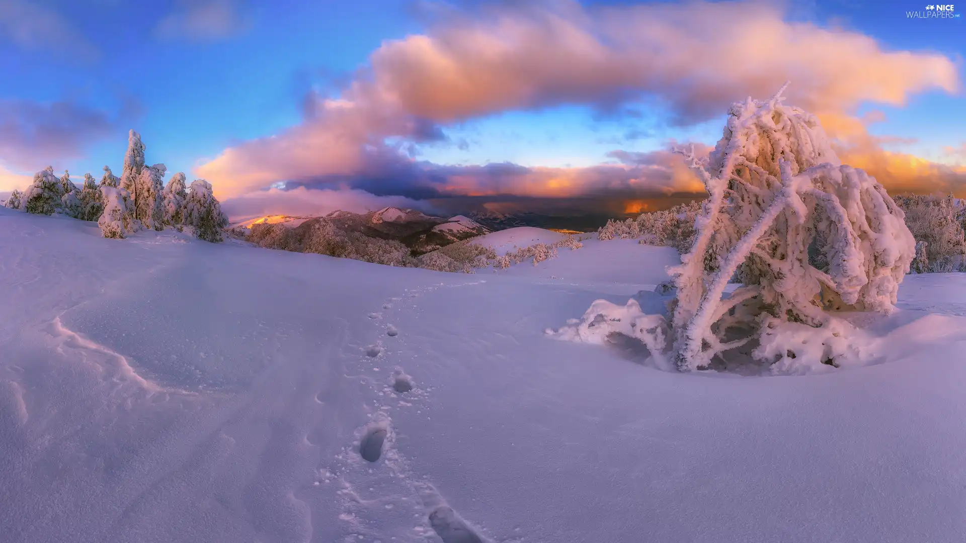 clouds, trees, snow, viewes, winter, traces, Mountains