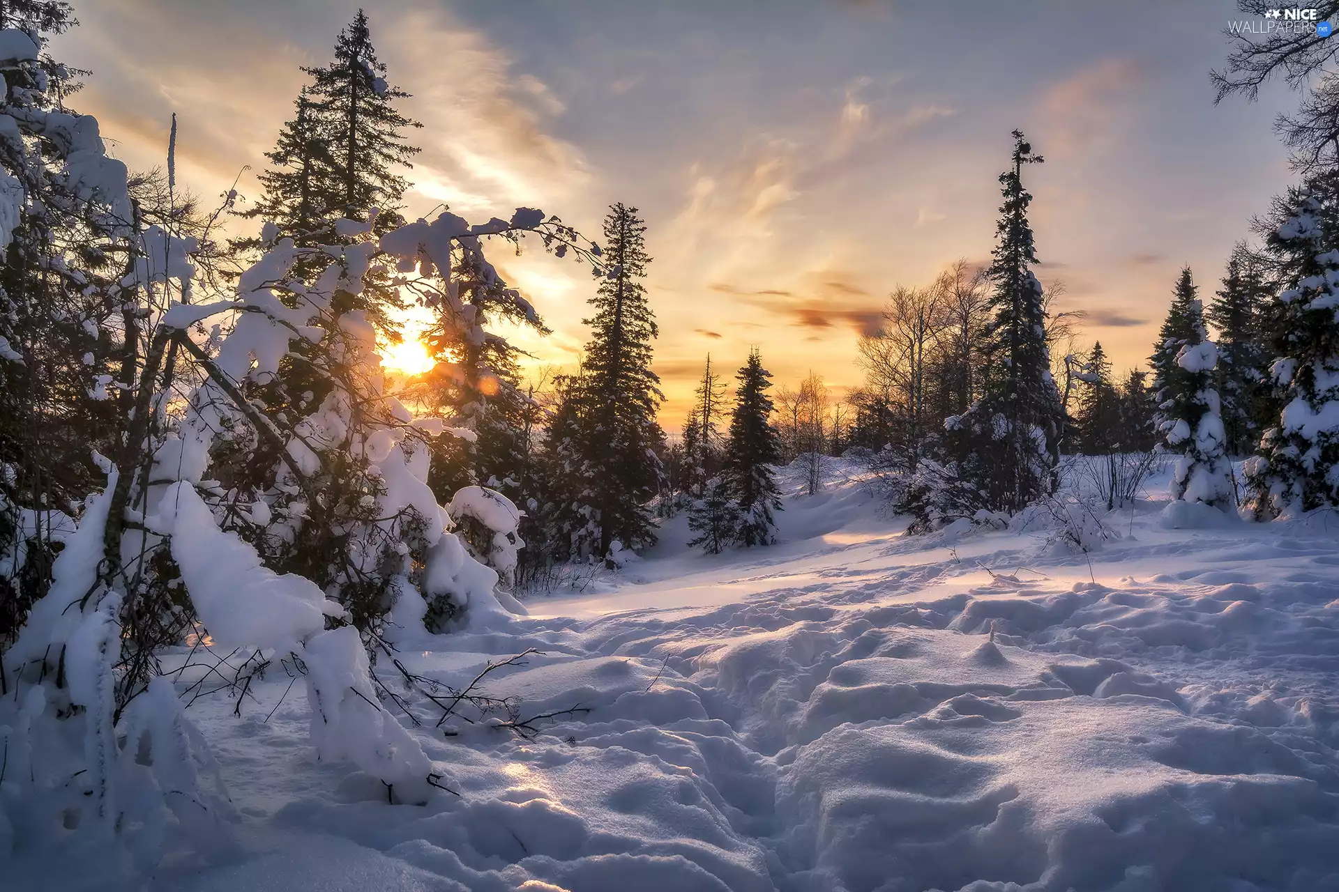 Sunrise, winter, trees, viewes, Snowy, snow
