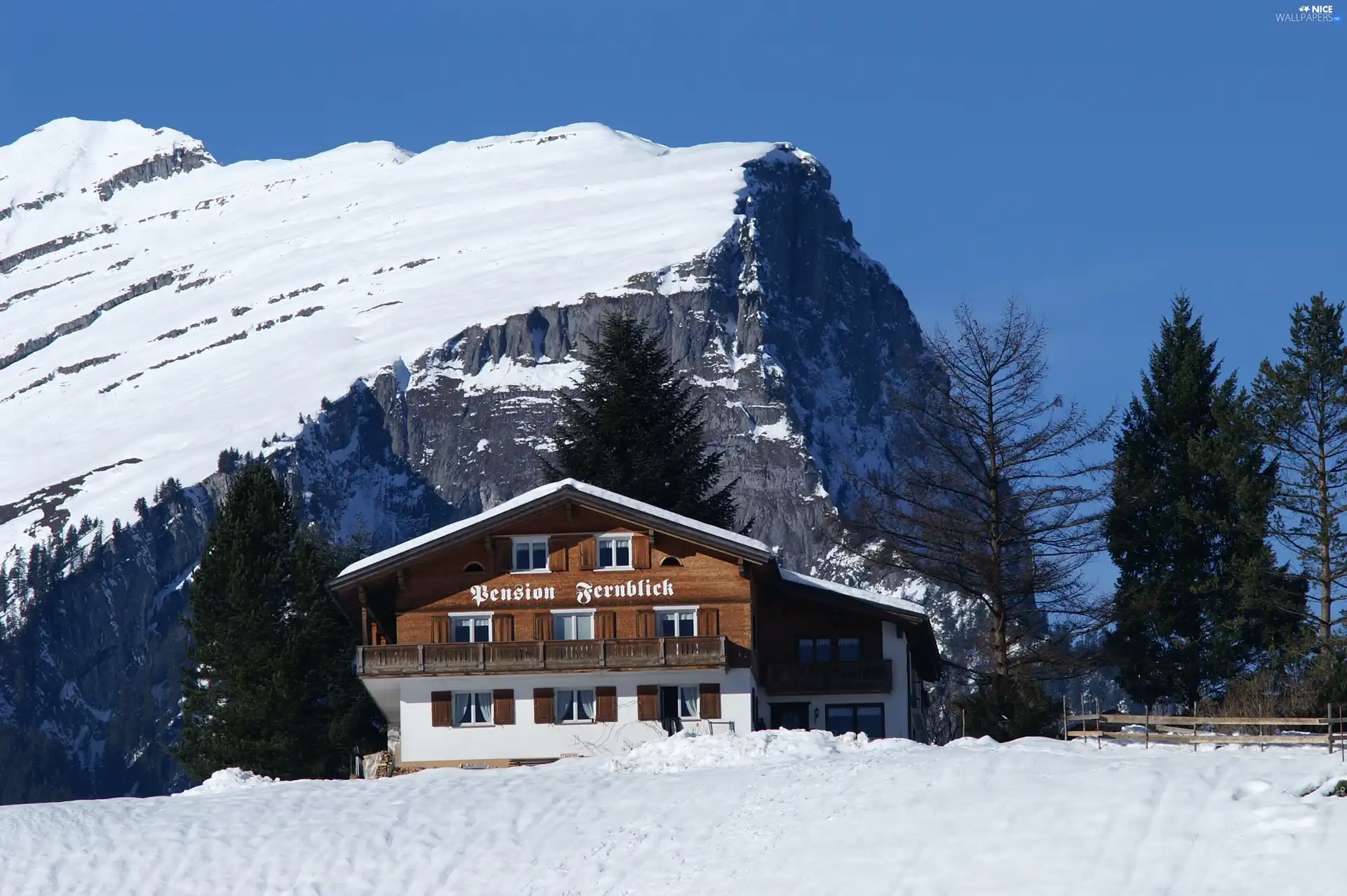 mountains, winter, viewes, snow, trees, guesthouse