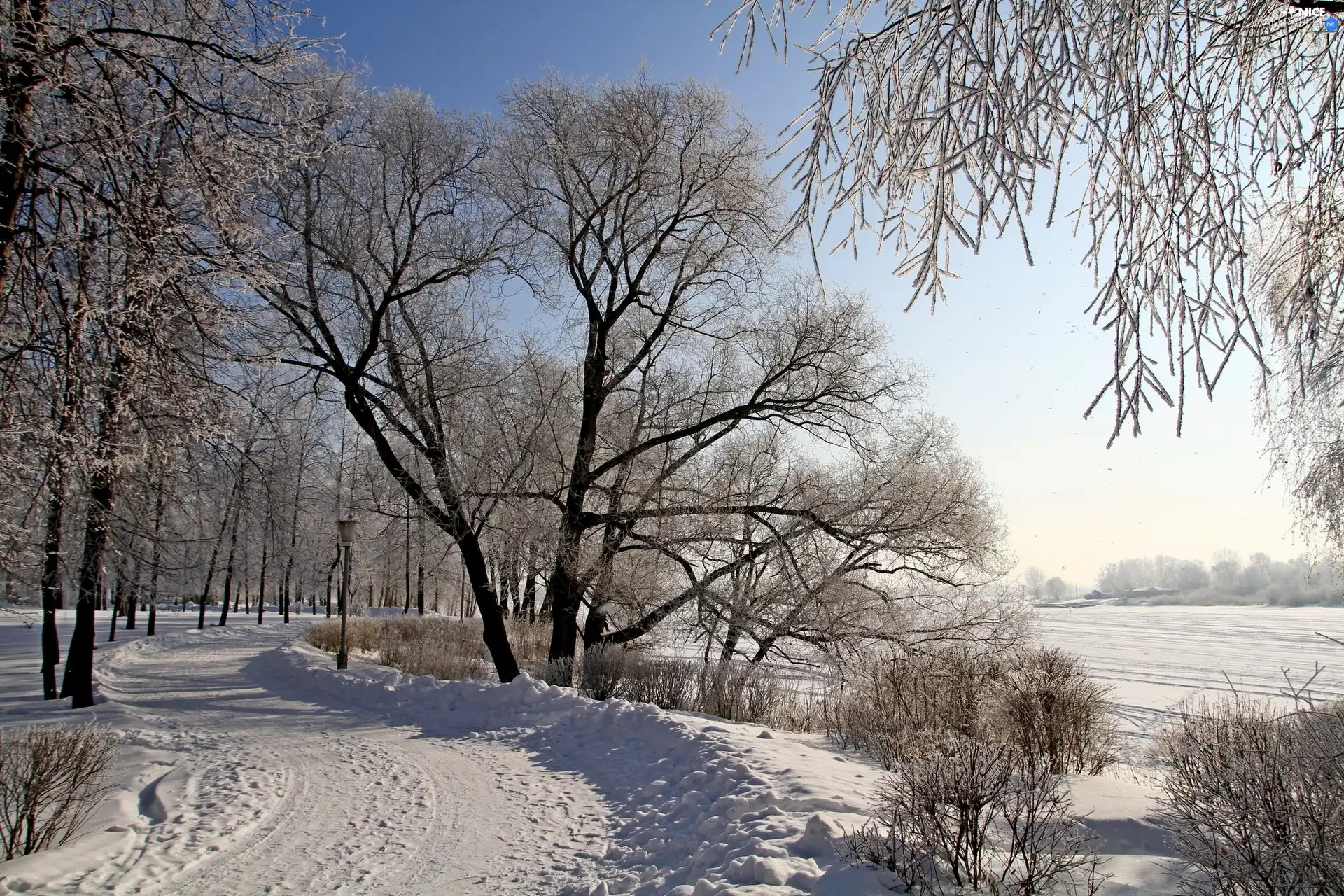 viewes, snow, Way, trees, winter