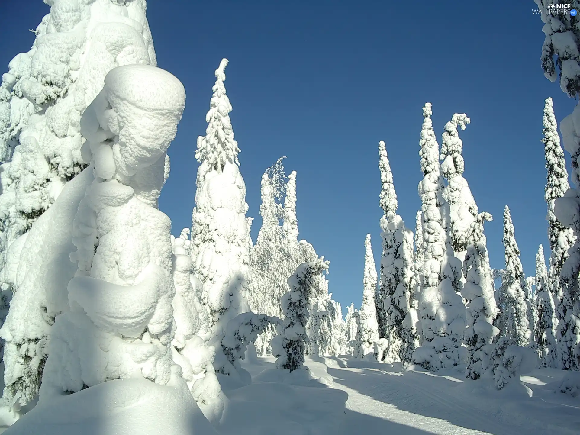 viewes, Snowman, Snowy, trees, winter