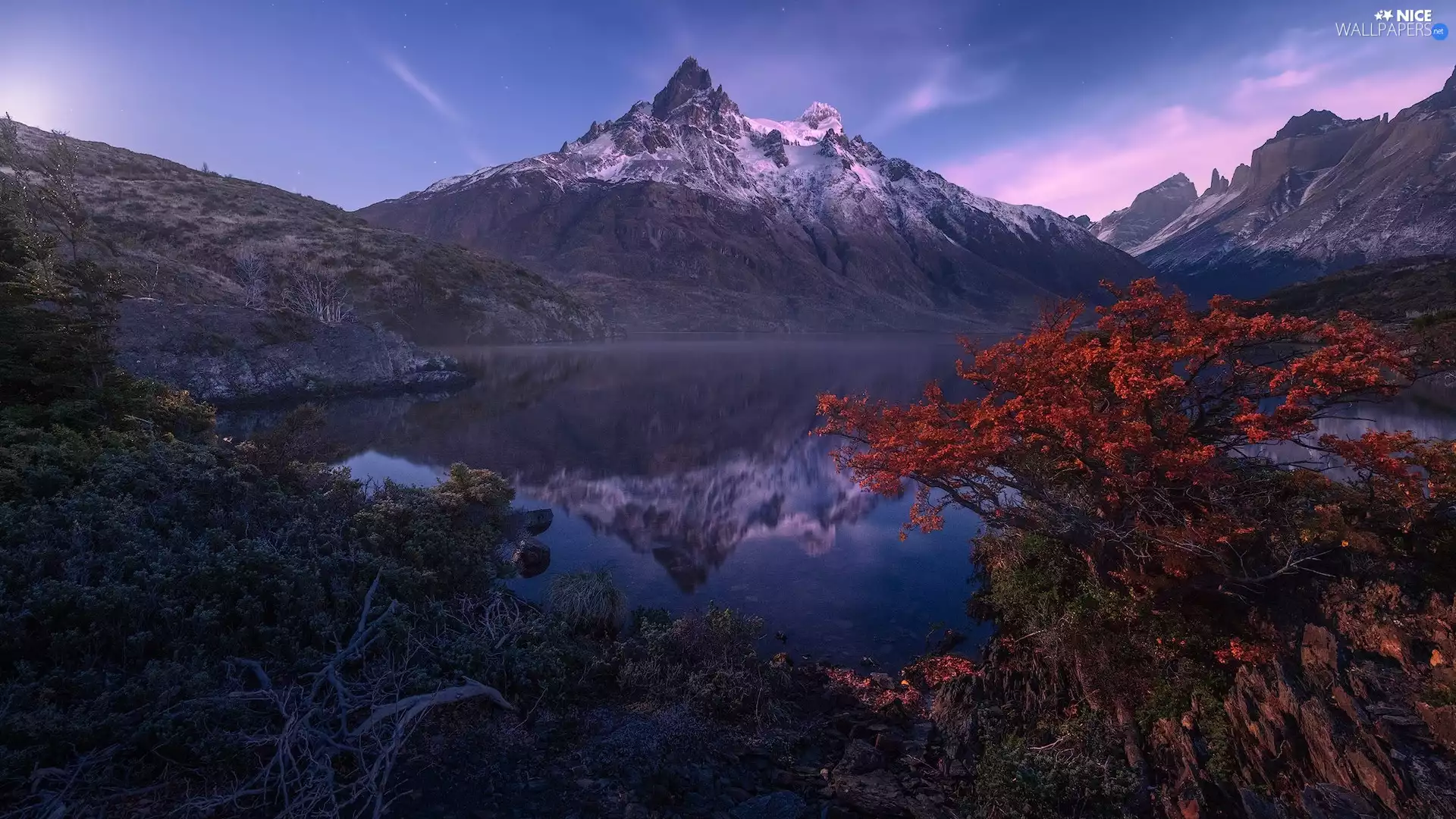 mount, Mountains, trees, viewes, lake, snowy