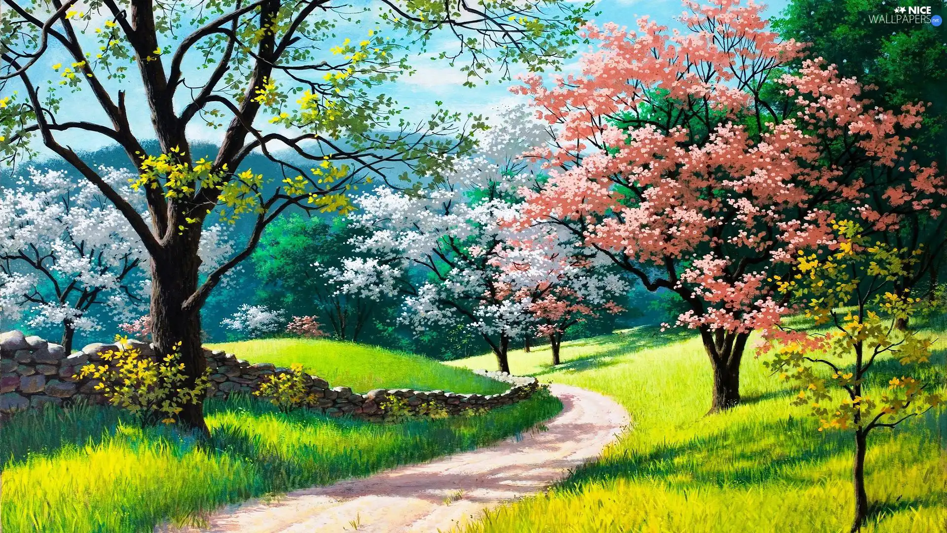 viewes, Spring, flourishing, trees, Way