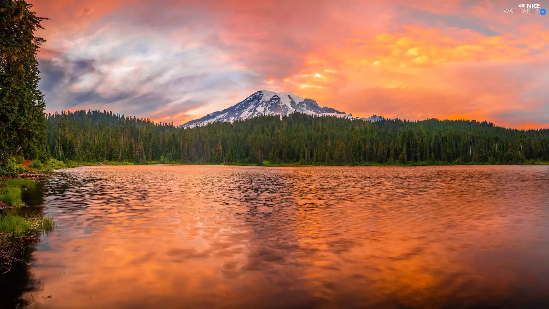 mountains, lake, Stratovolcano Mount Rainier, trees, Washington State, The United States, reflection, Mount Rainier National Park, viewes