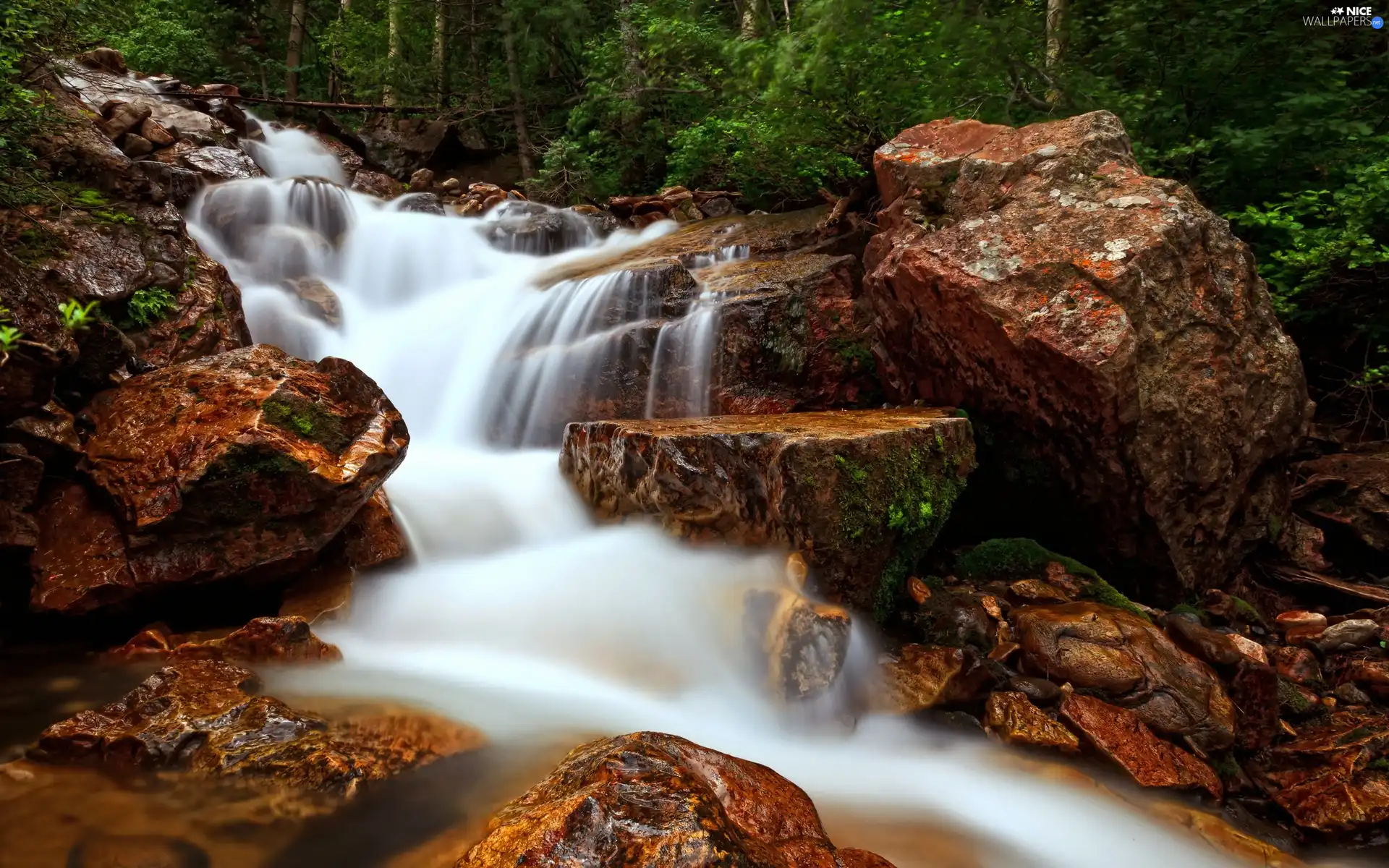 viewes, Stones, River, trees, Mountain