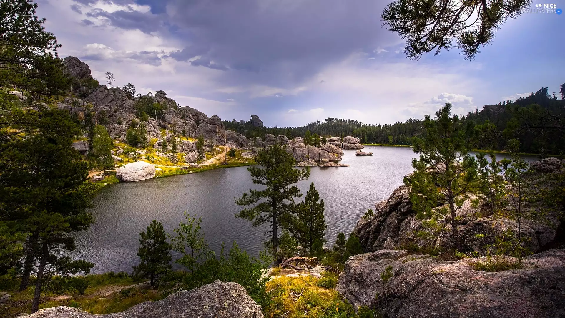 trees, viewes, Stones, rocks, River