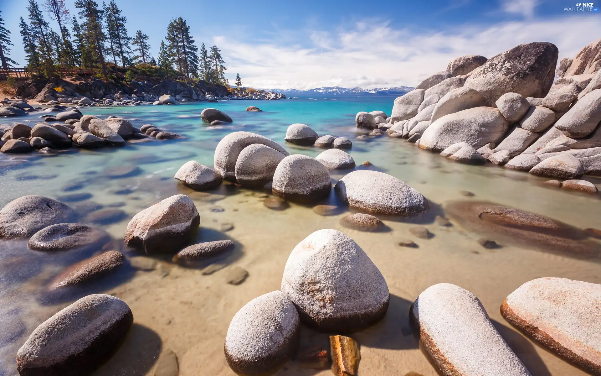 Stones, trees, viewes, River