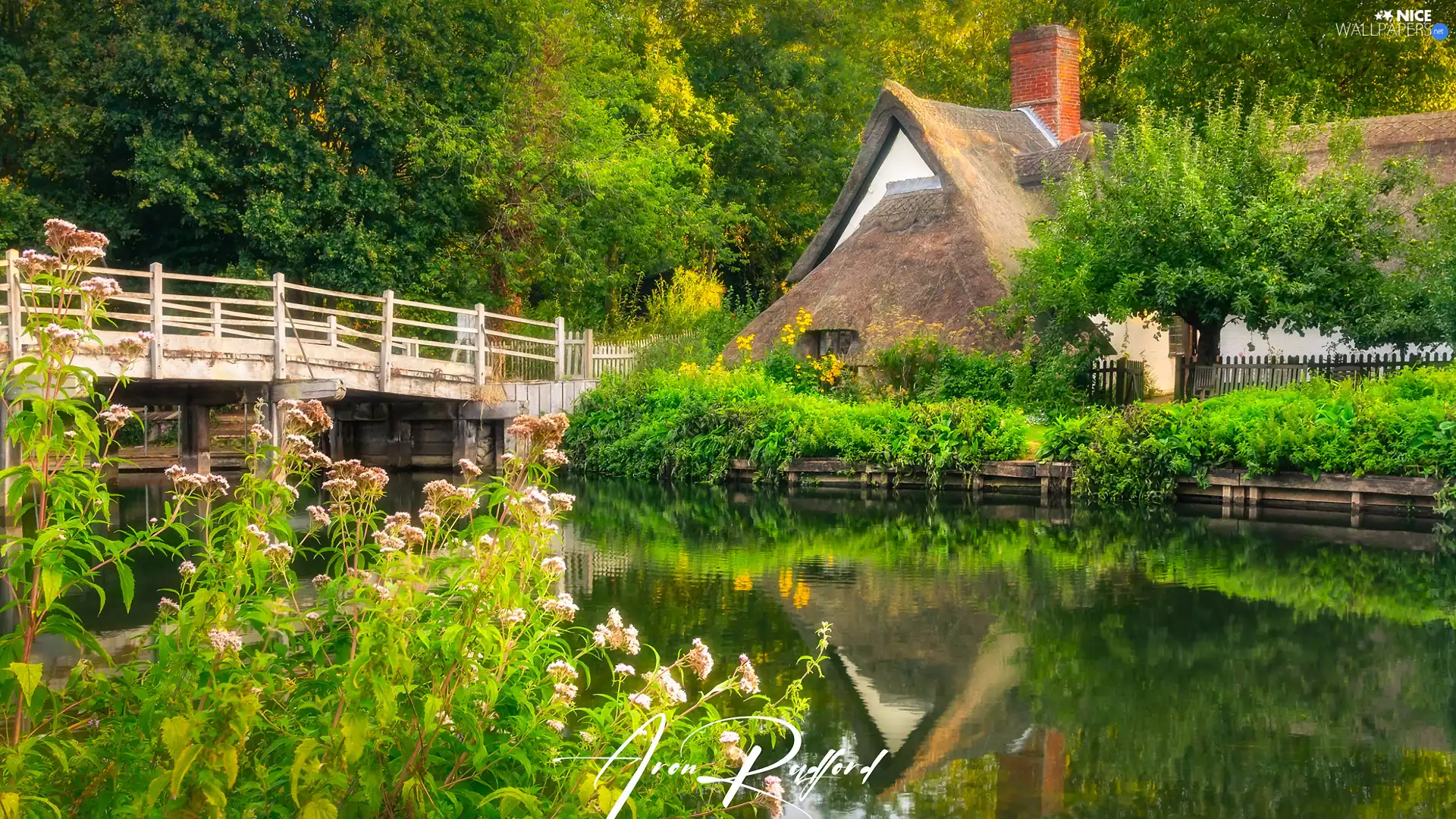 Flowers, house, summer, trees, bridge, grass, River, viewes